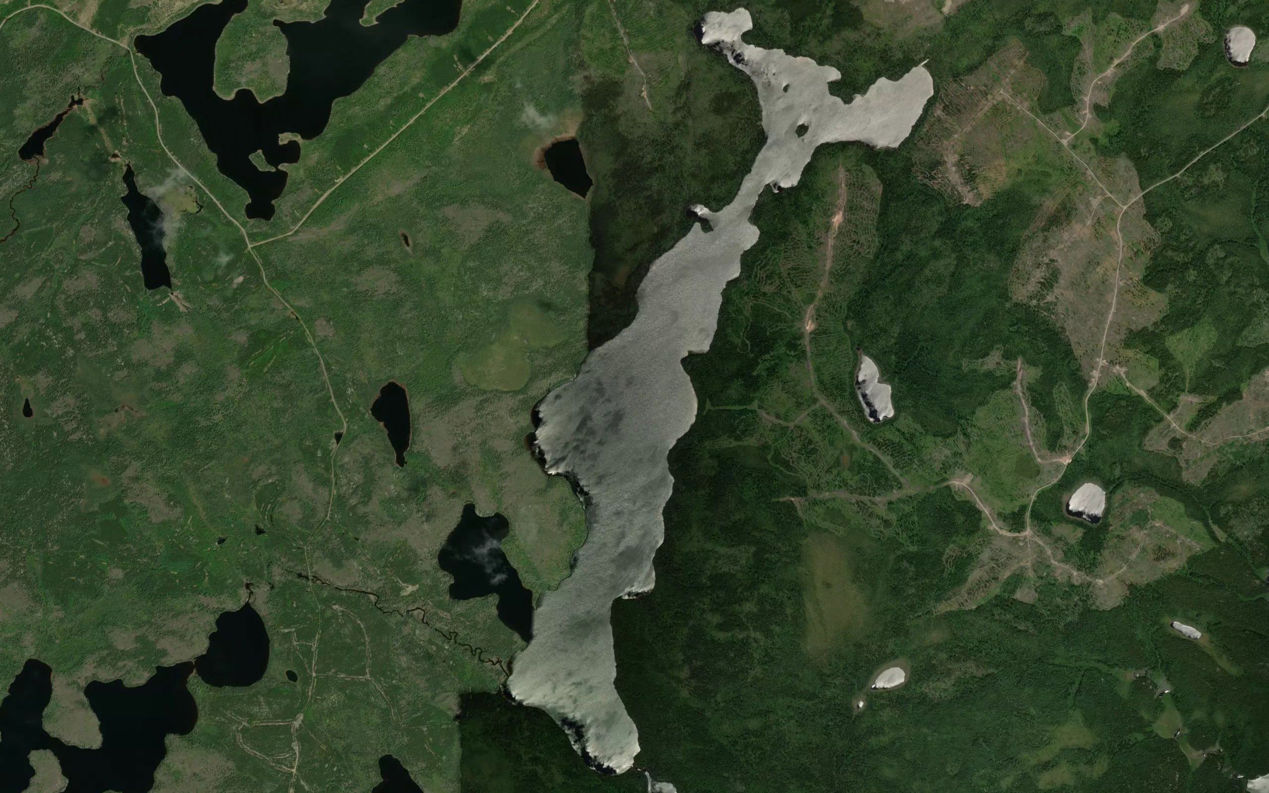 Kim Lake