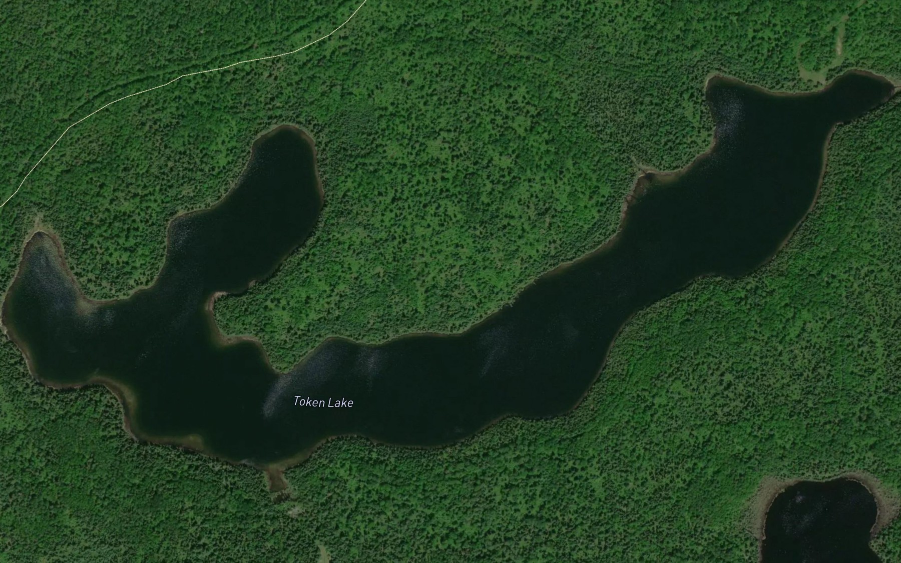 Satellite map of the Token Lake