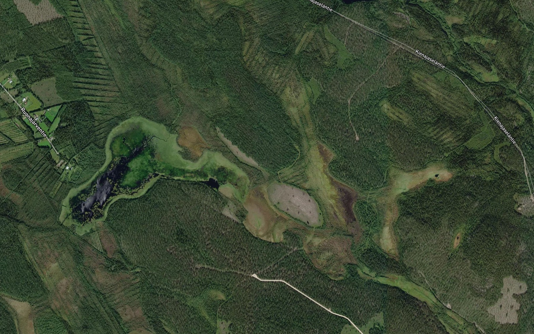 Satellite map of the Ruonajarvi