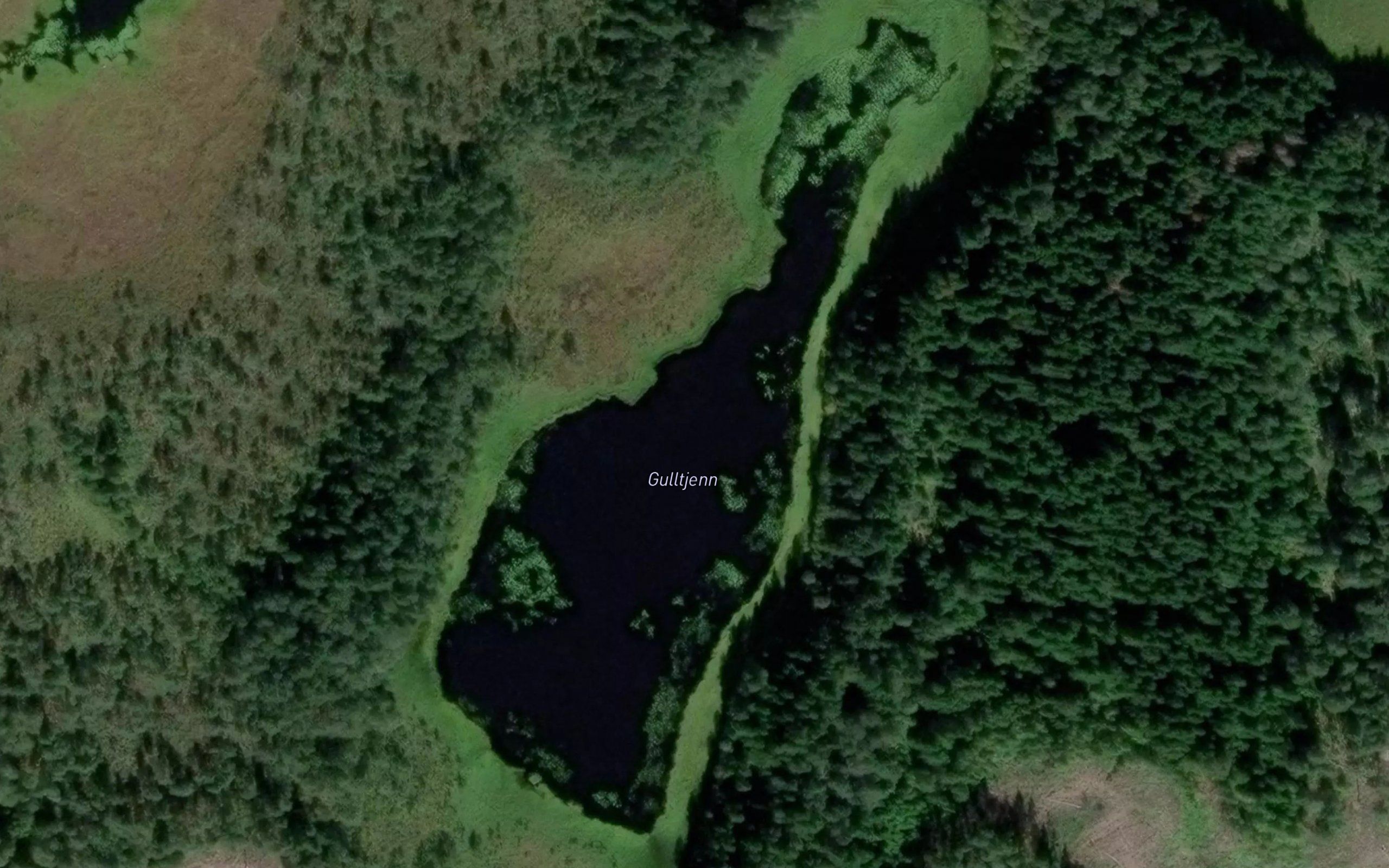 Gulltjern