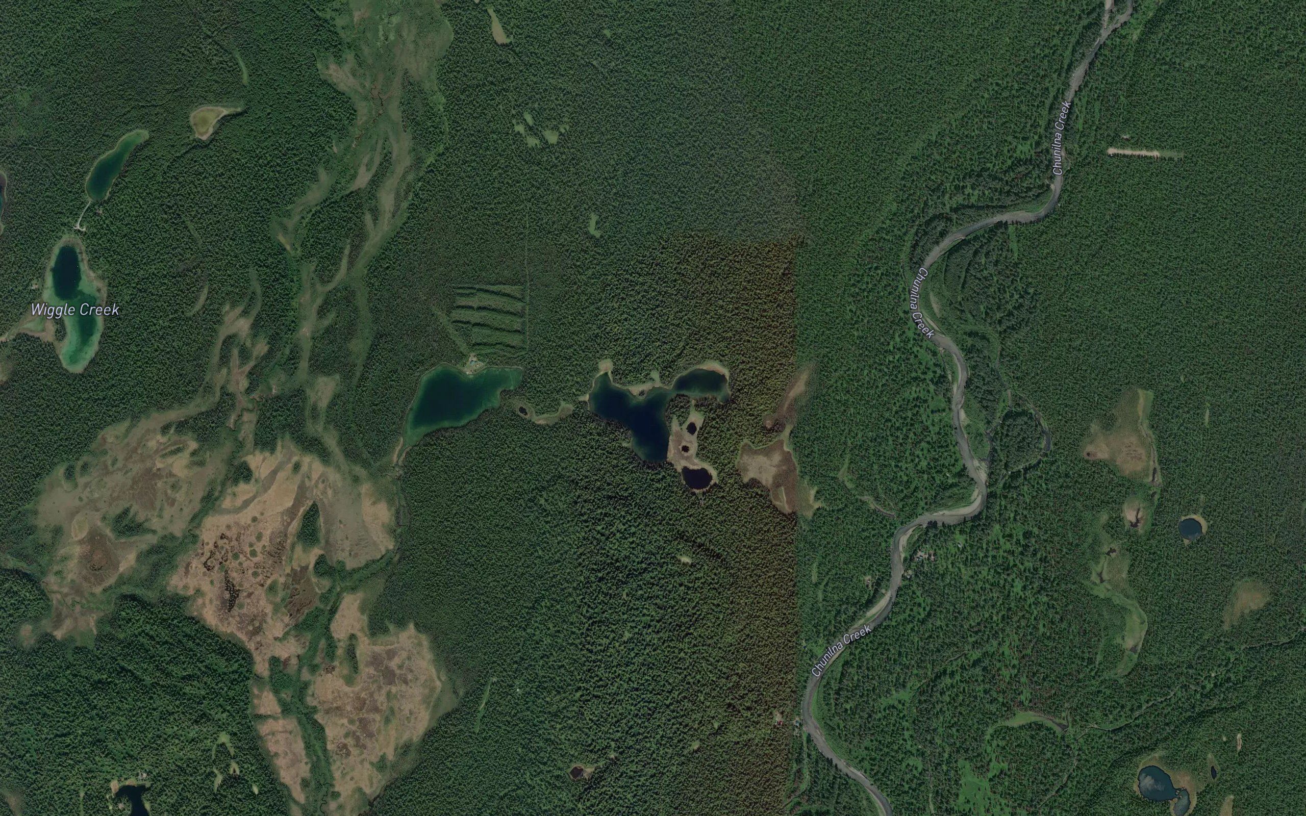 Willie Lake