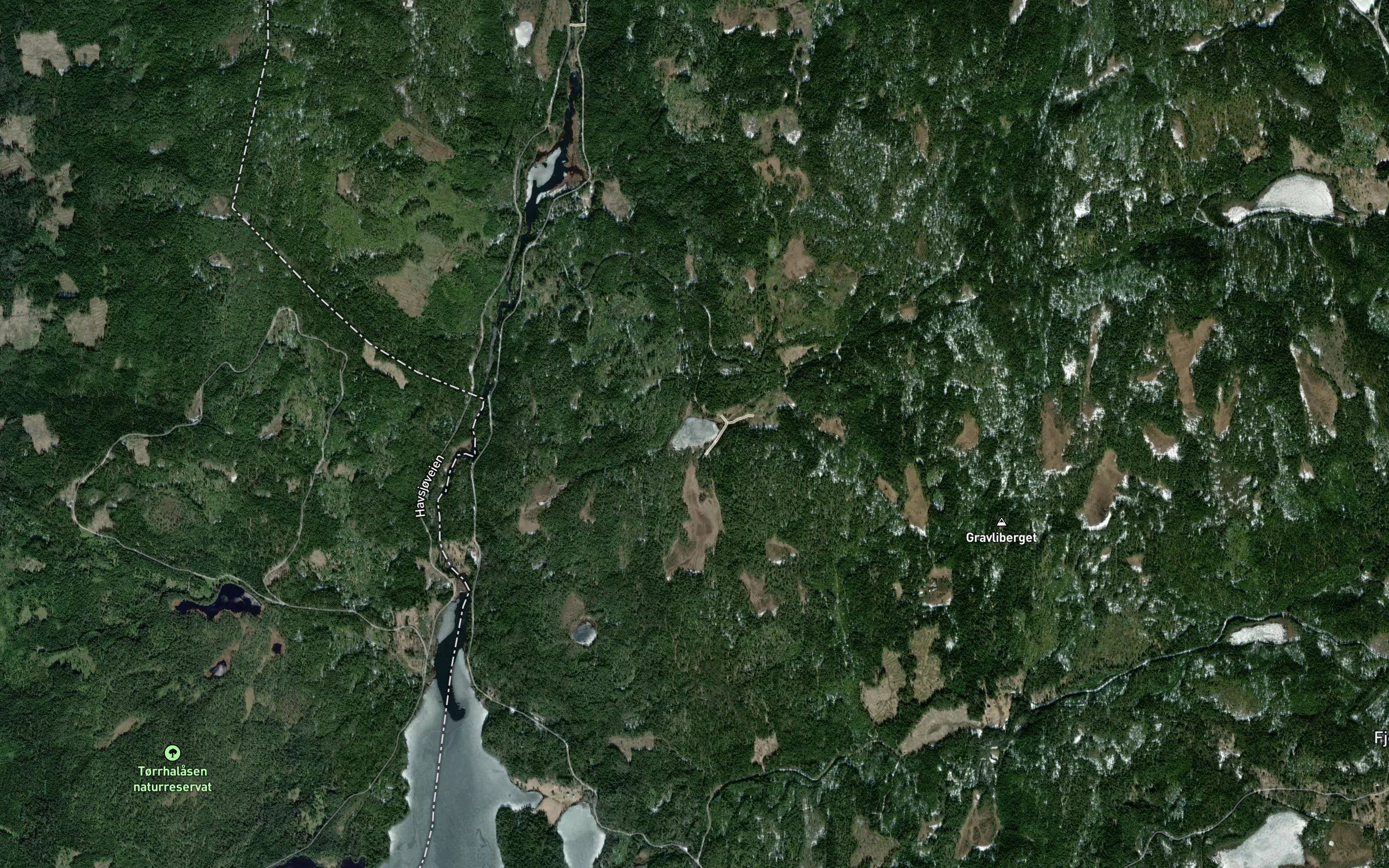 Aurtjernet