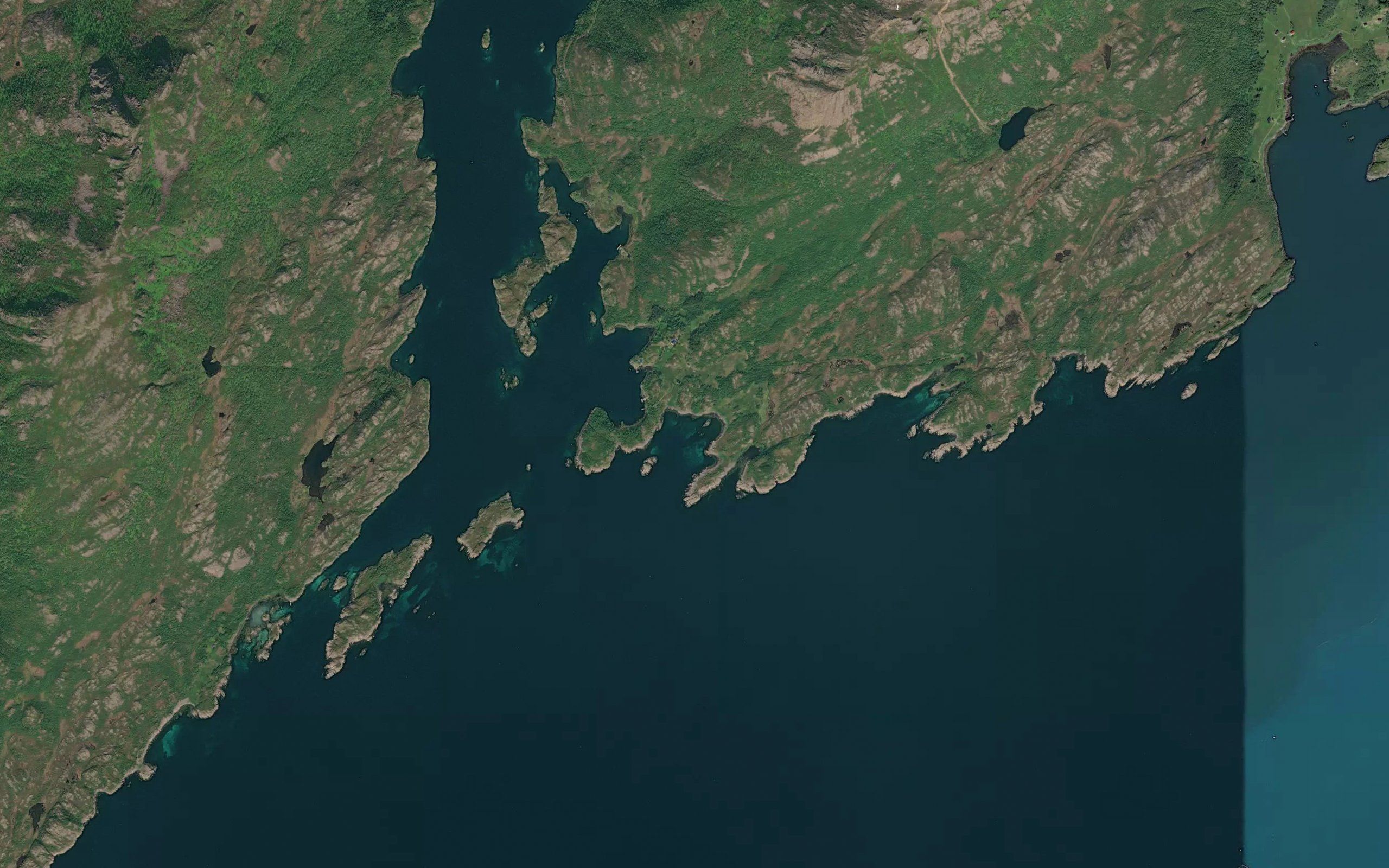 Kirkevika