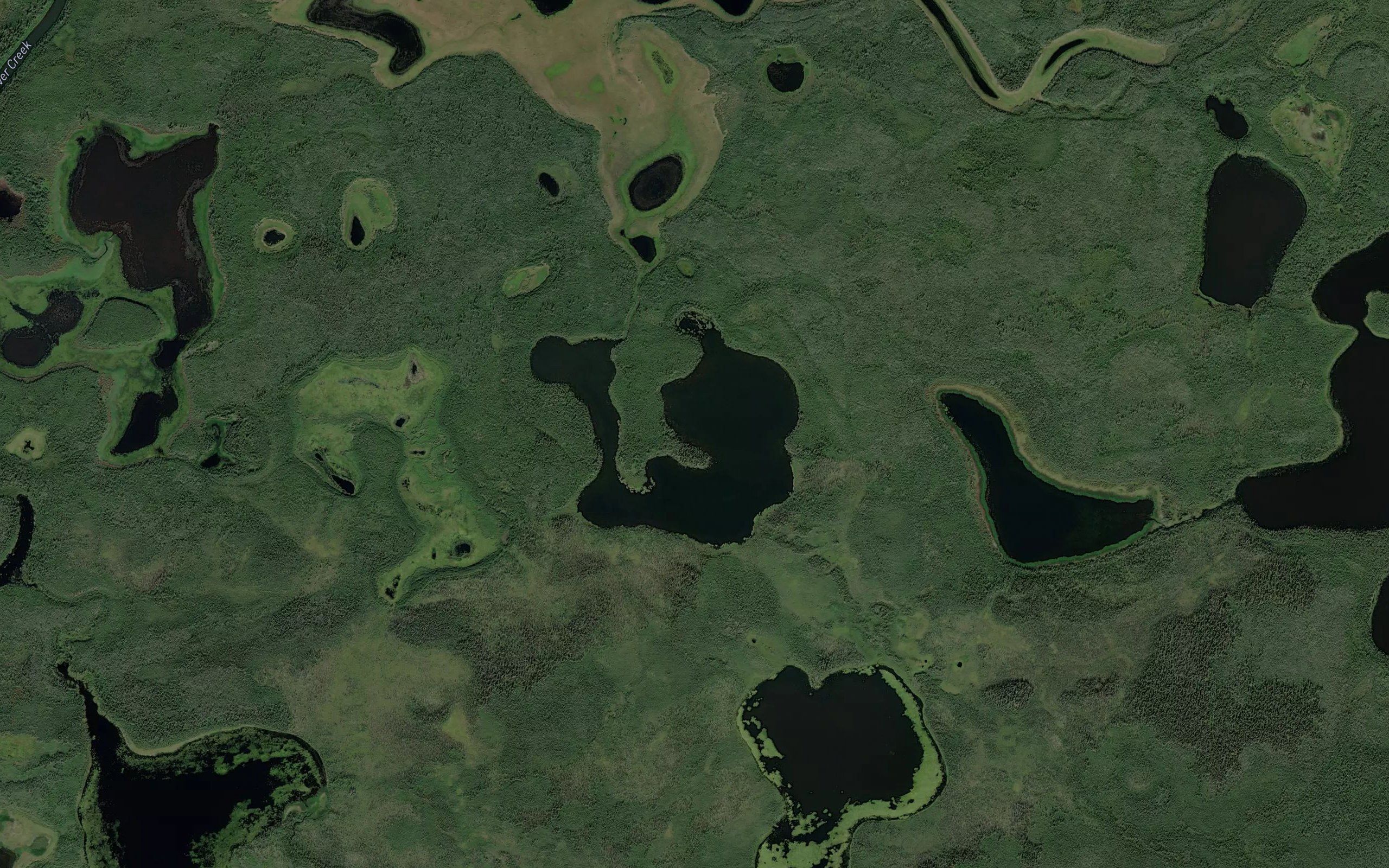 Willow Lake