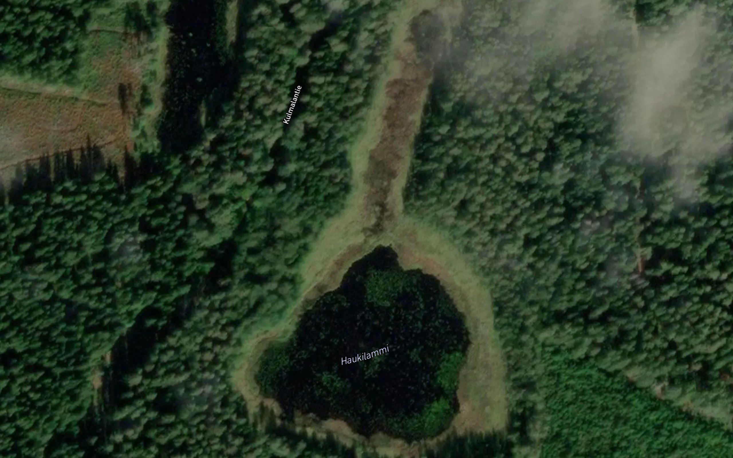 Haukilammi