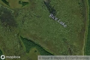 Rice Lake