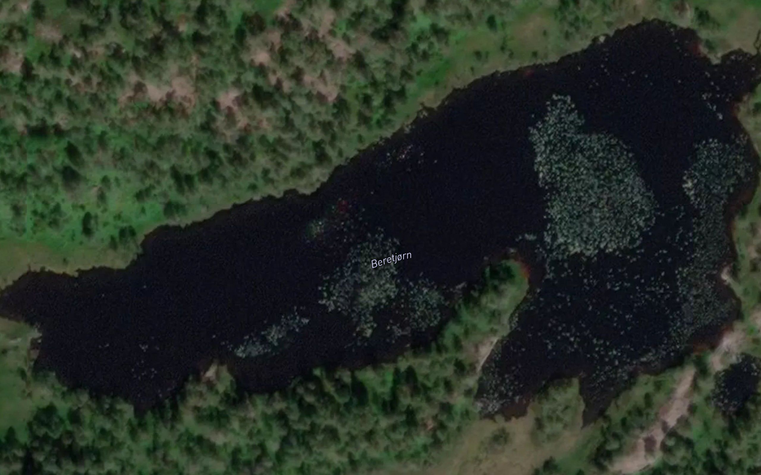 Beretjorn