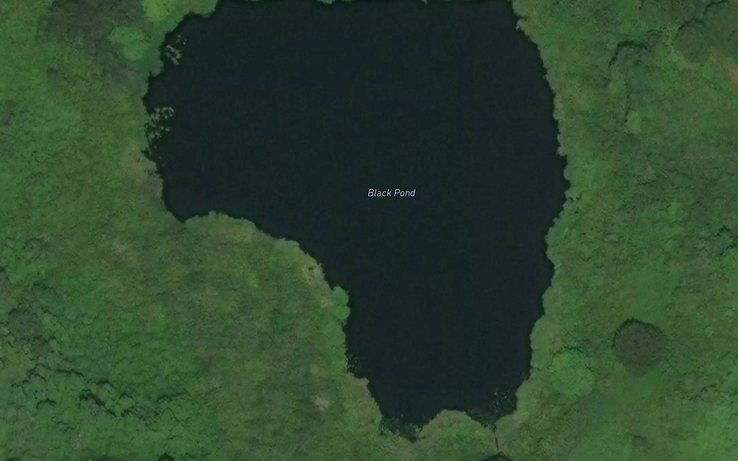 Black Pond