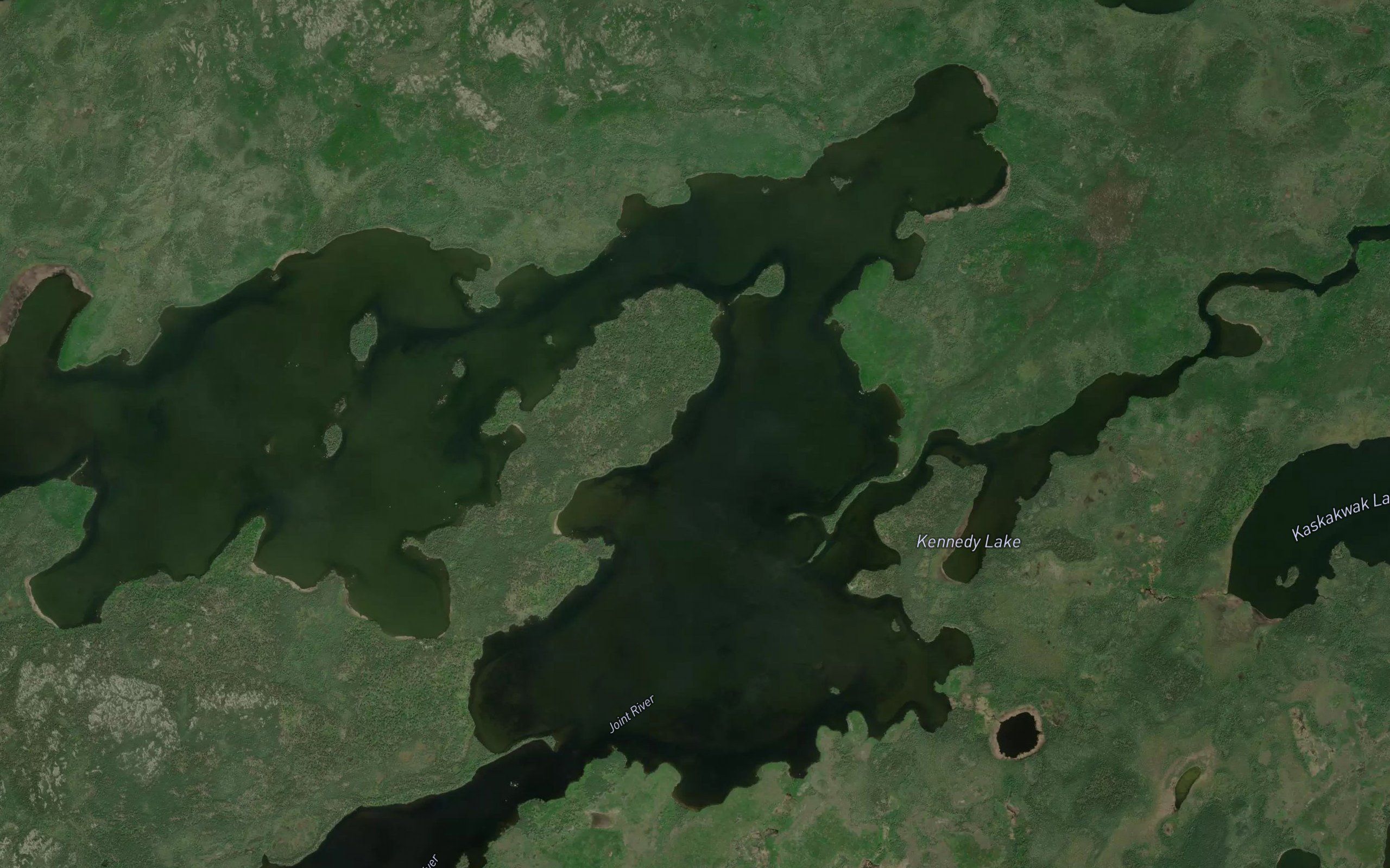 Kennedy Lake
