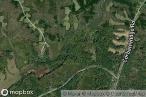 Negro Creek