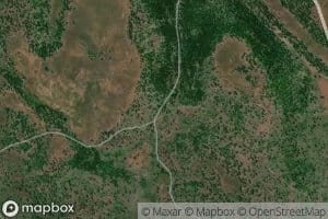 Upper Bluff Spring