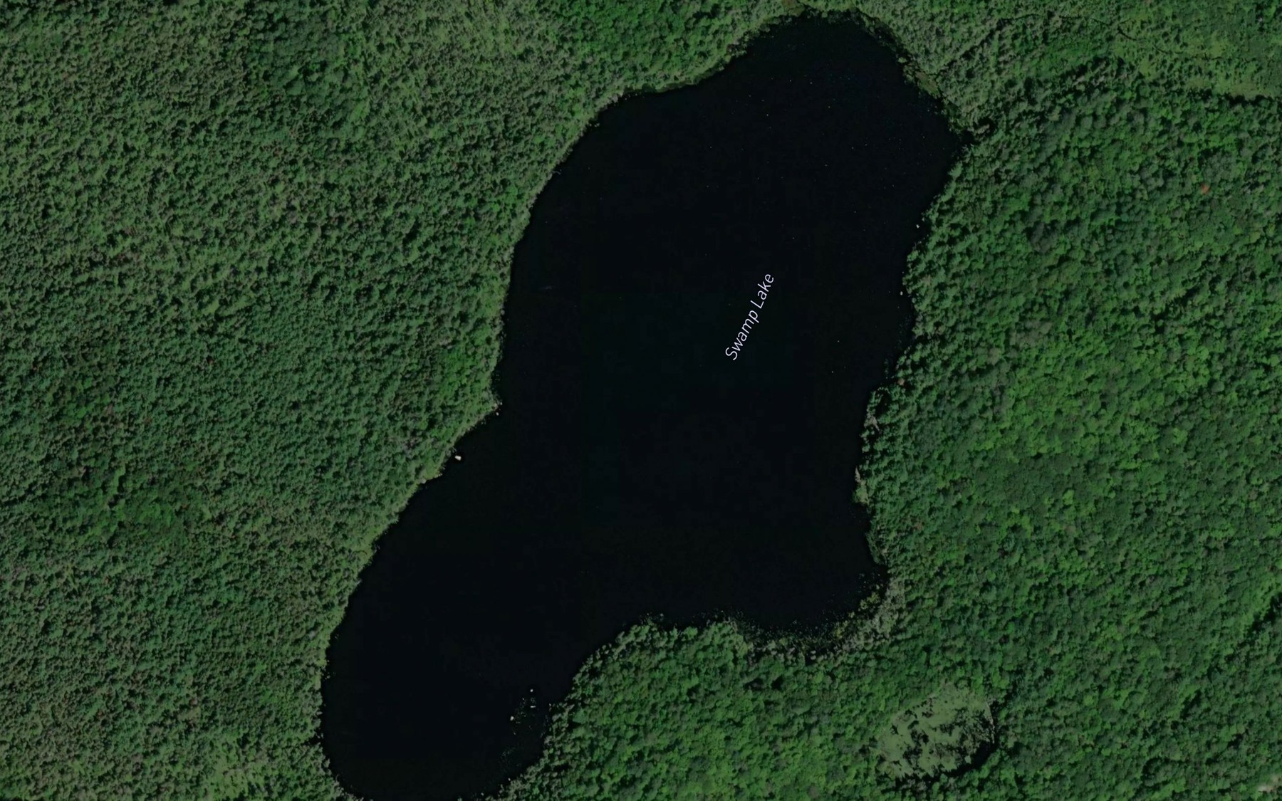 Satellite map of the Swamp Lake