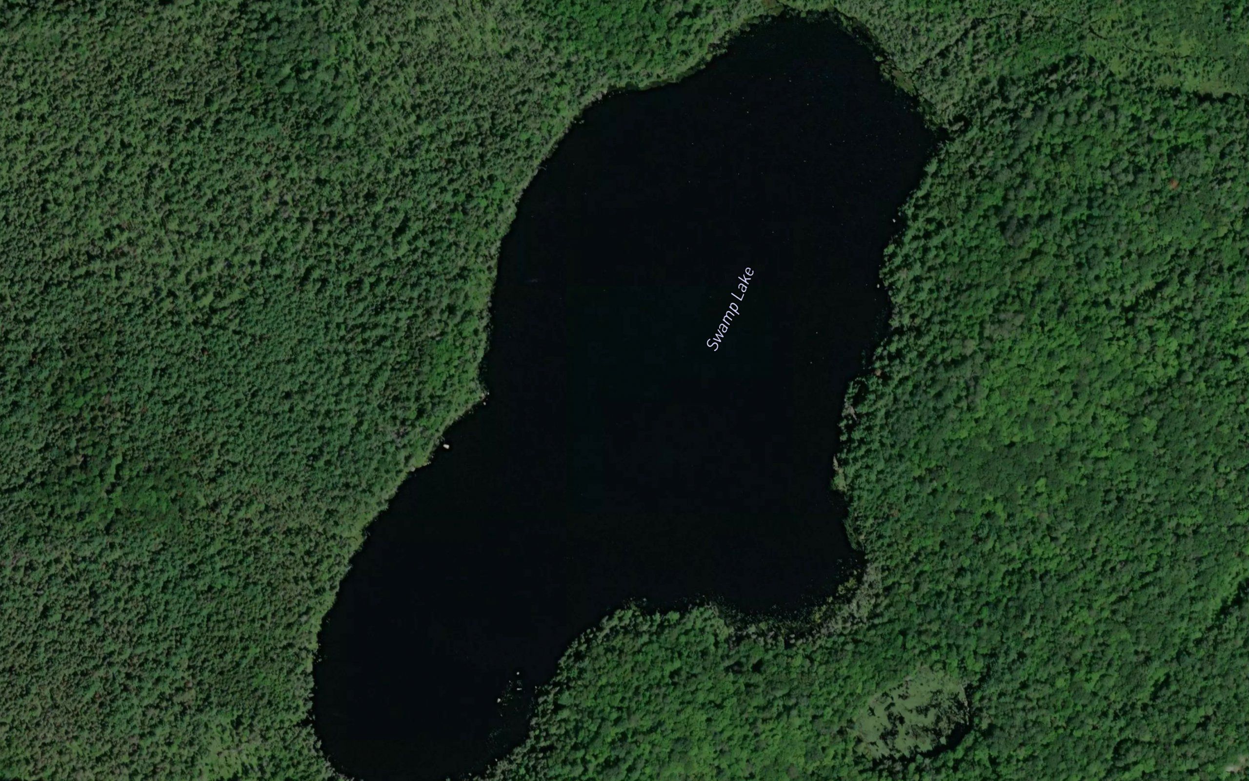 Swamp Lake