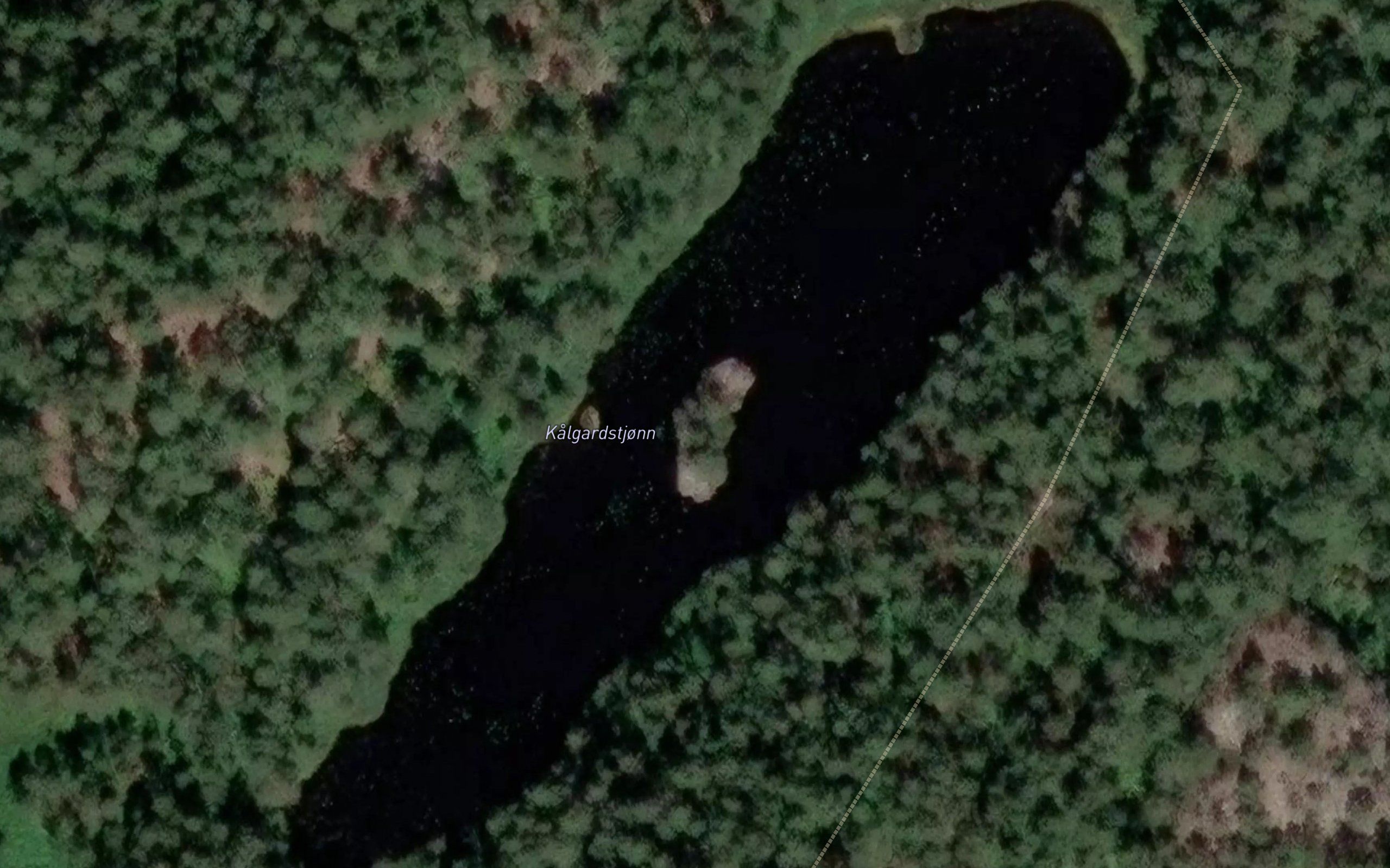 Kalgardstjonn