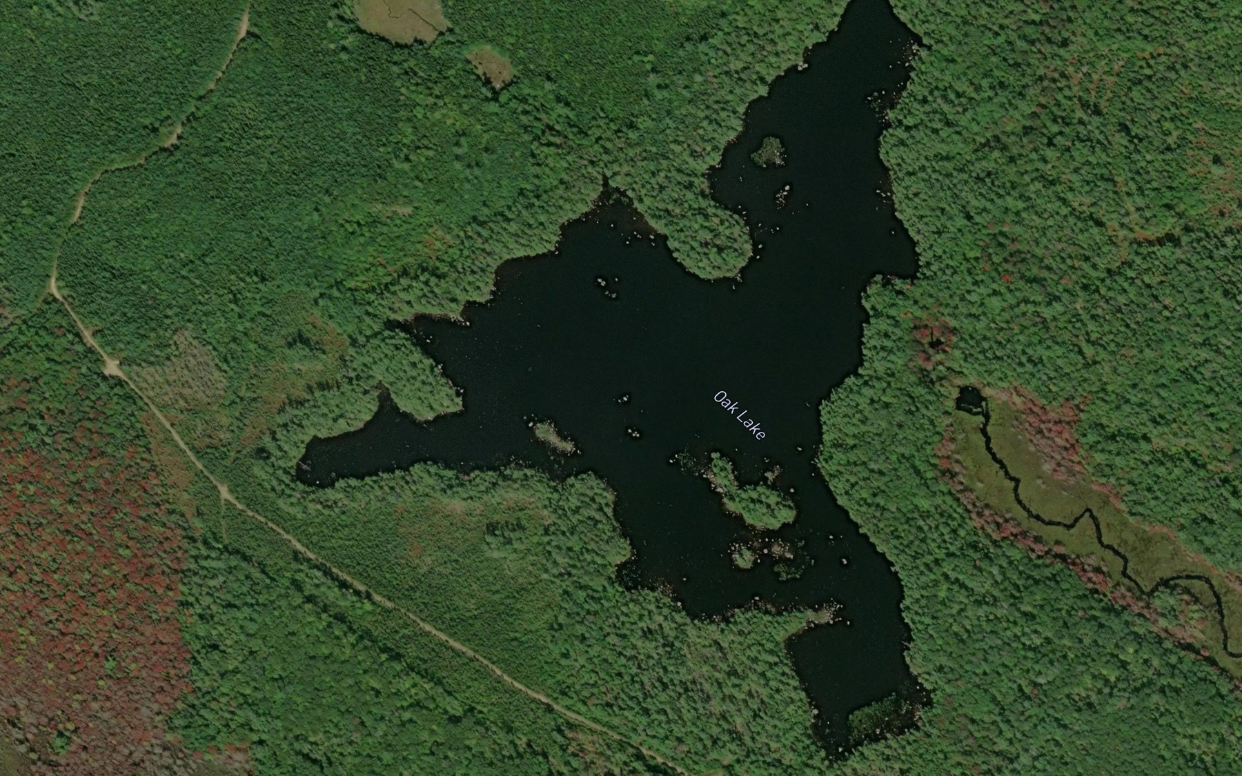 Satellite map of the Oak Lake
