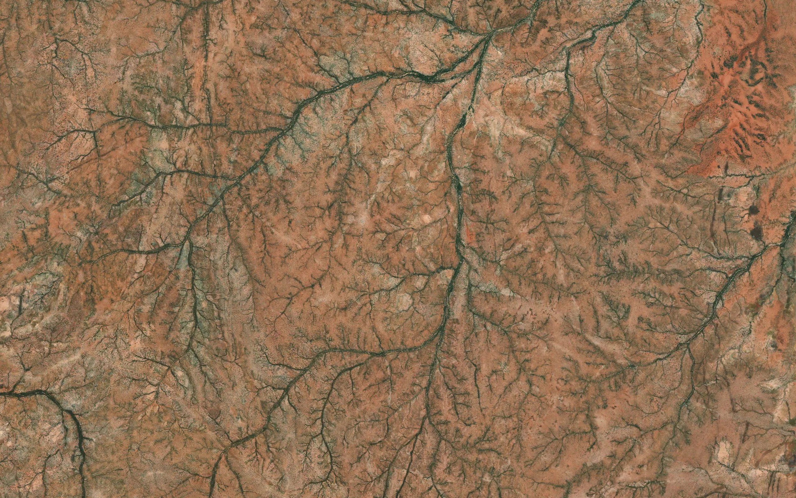 Spring Creek