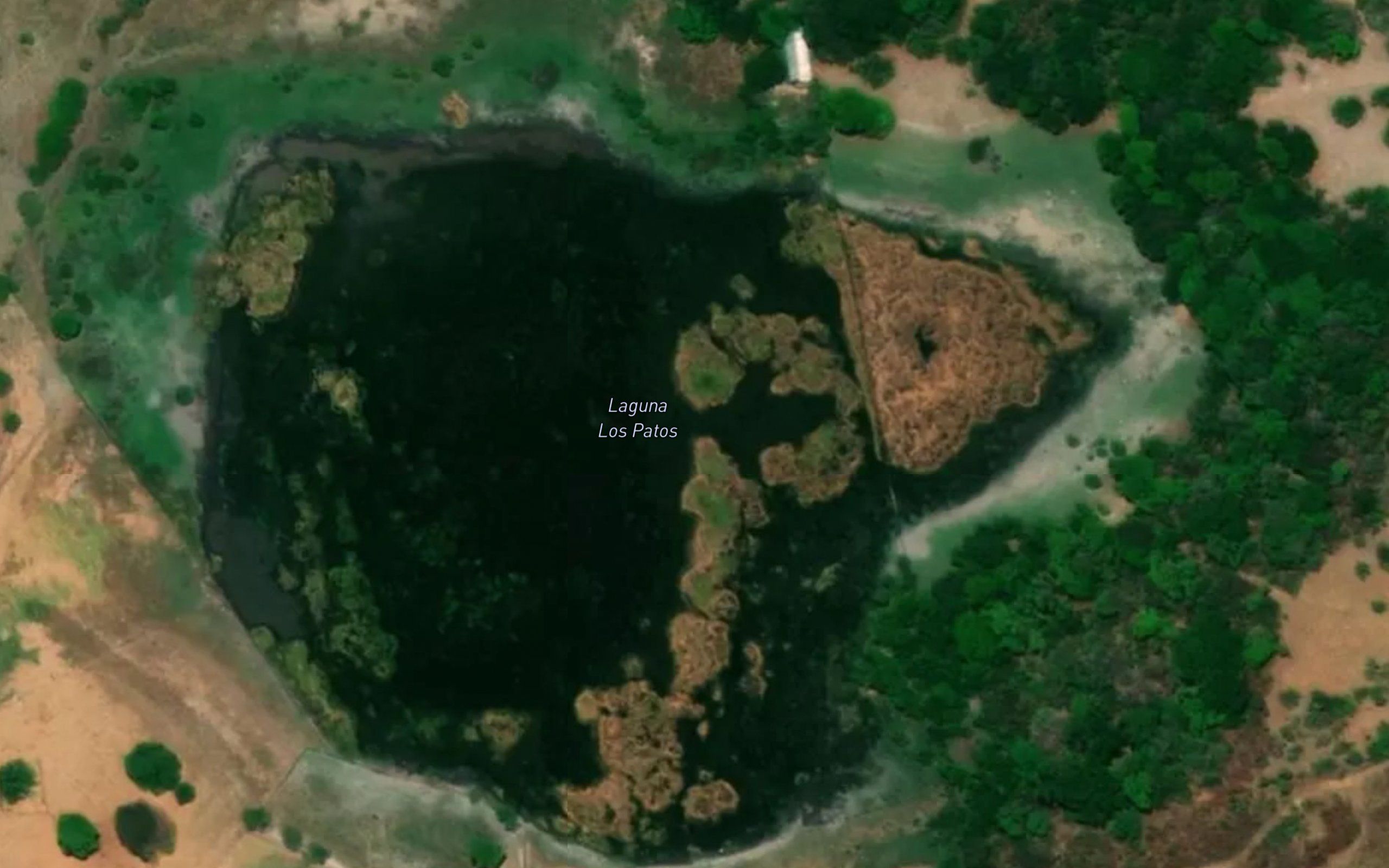 Laguna Los Patos