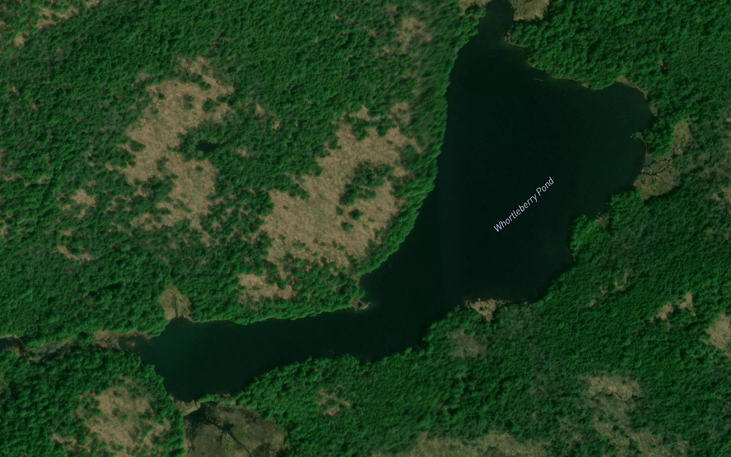 Whortleberry Pond