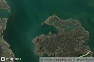 Custis Cove