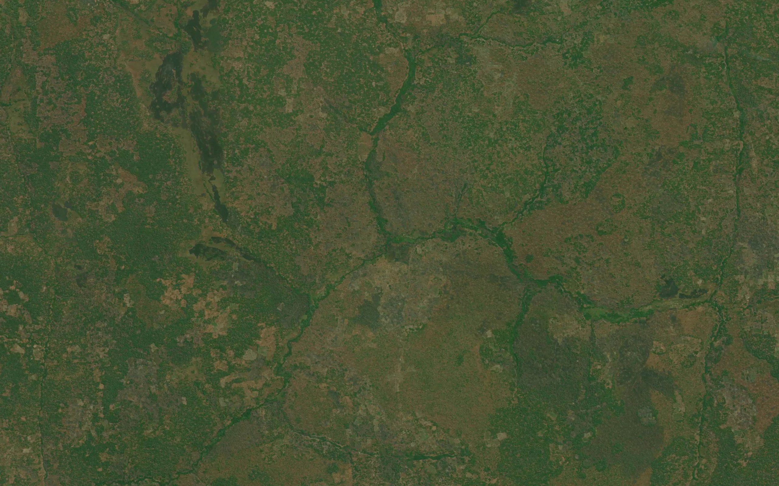 Tshishia
