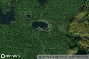Lac Violet
