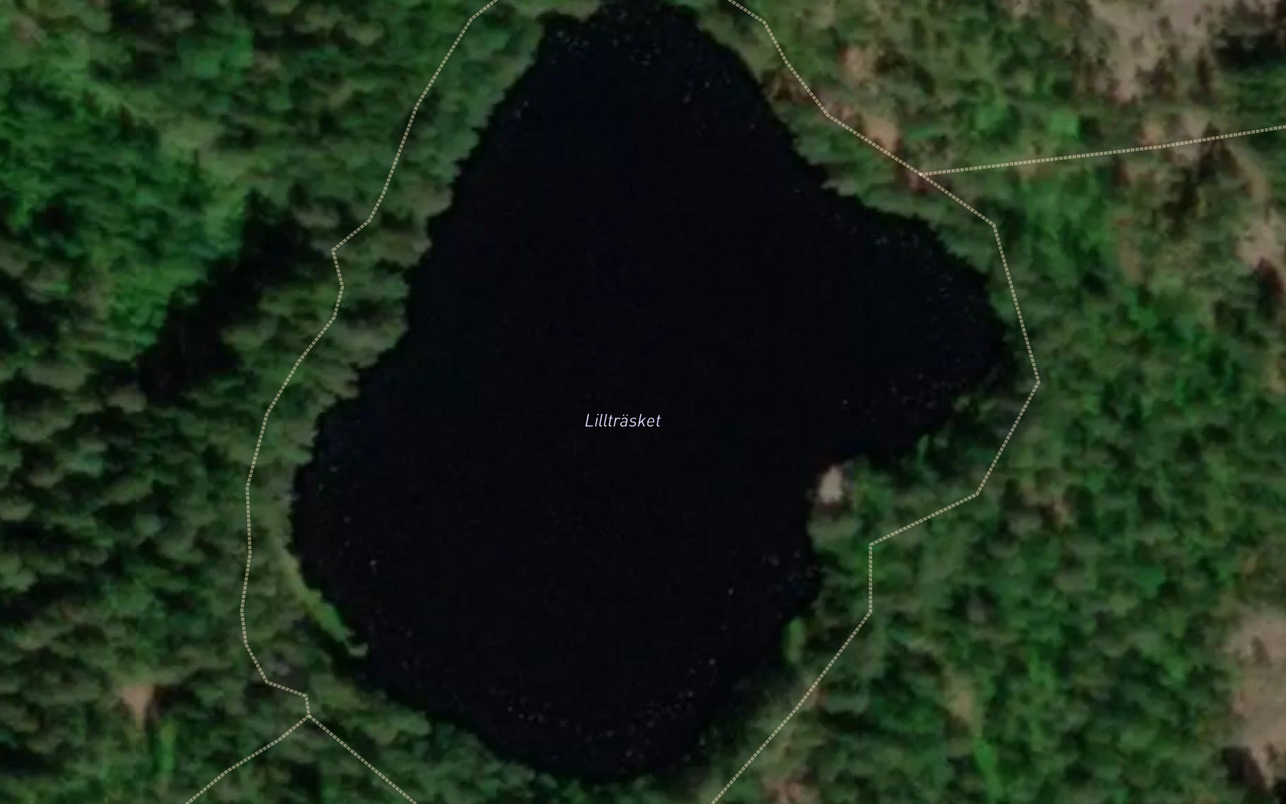 Lilltrasket