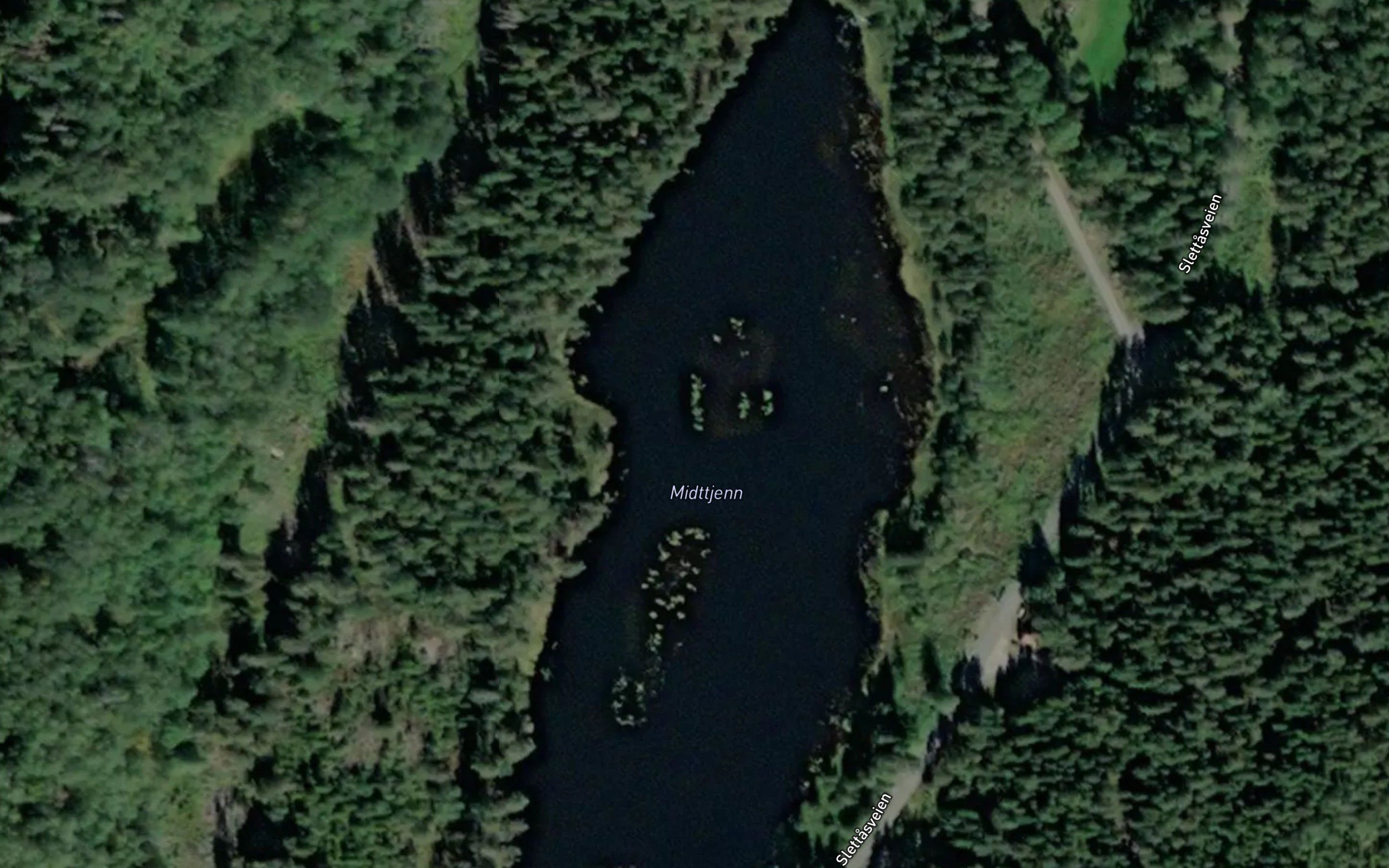 Midttjern