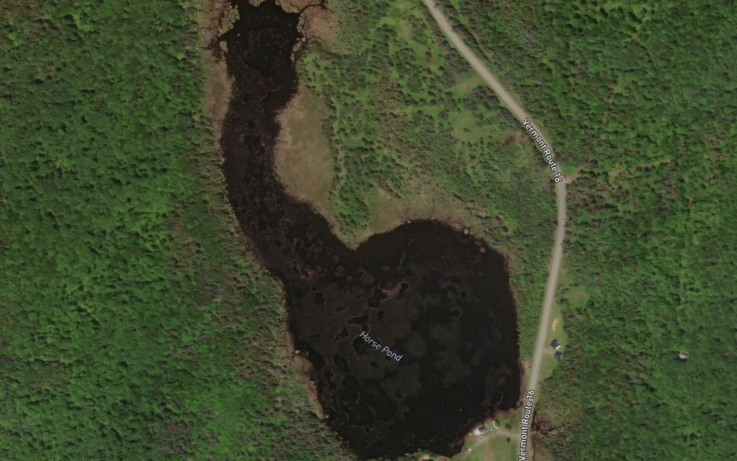 Horse Pond