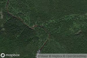 Taybinskaya Berezovaya