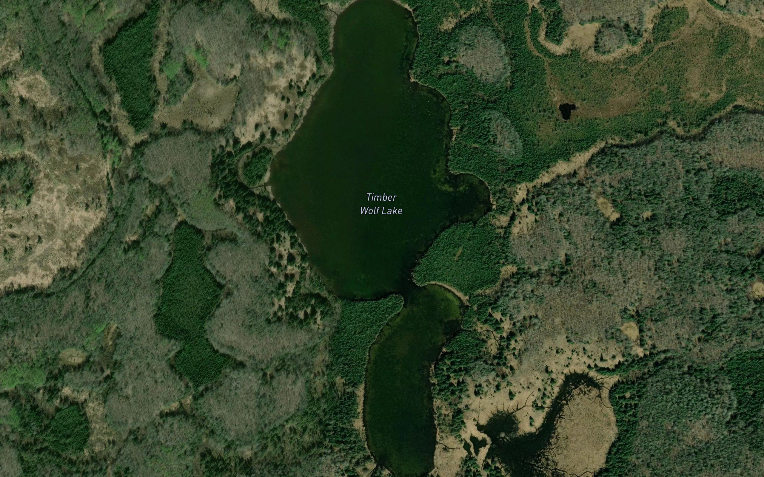 Timber Wolf Lake