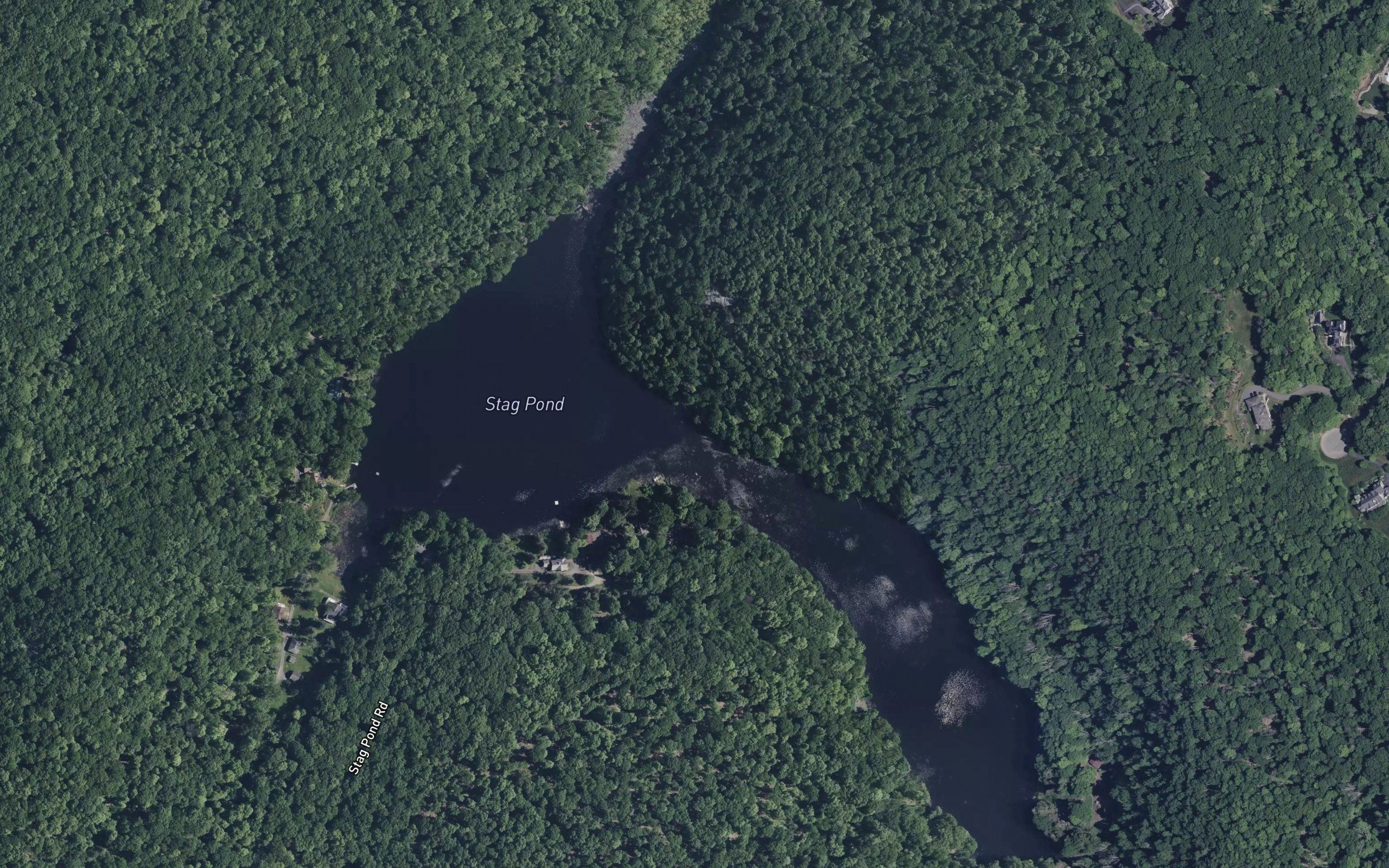Stag Pond