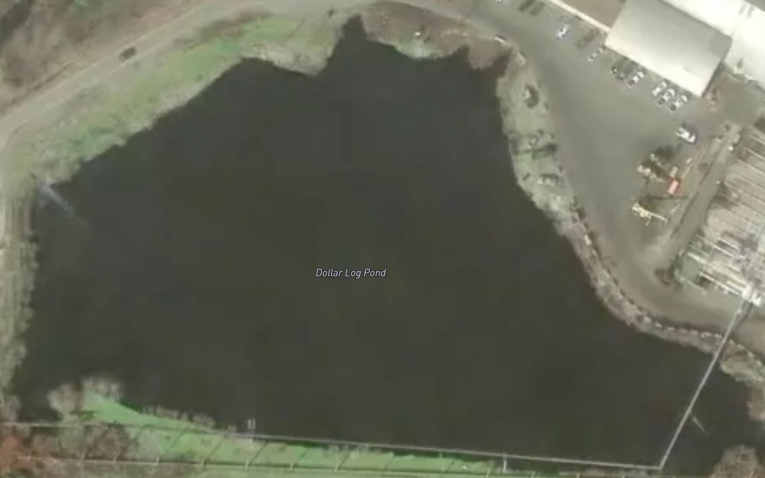 Dollar Log Ponds