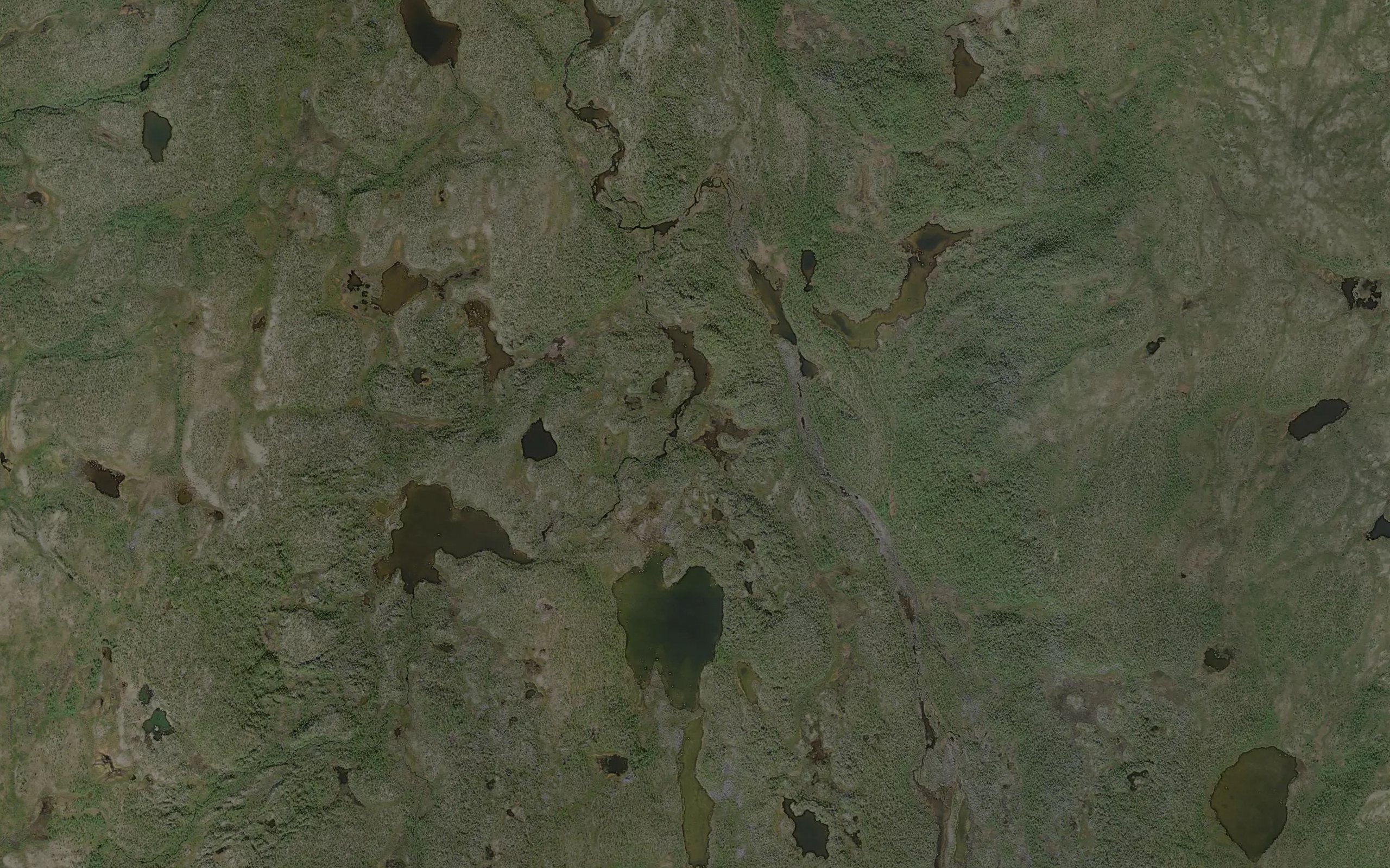 Gaed'gejavrit