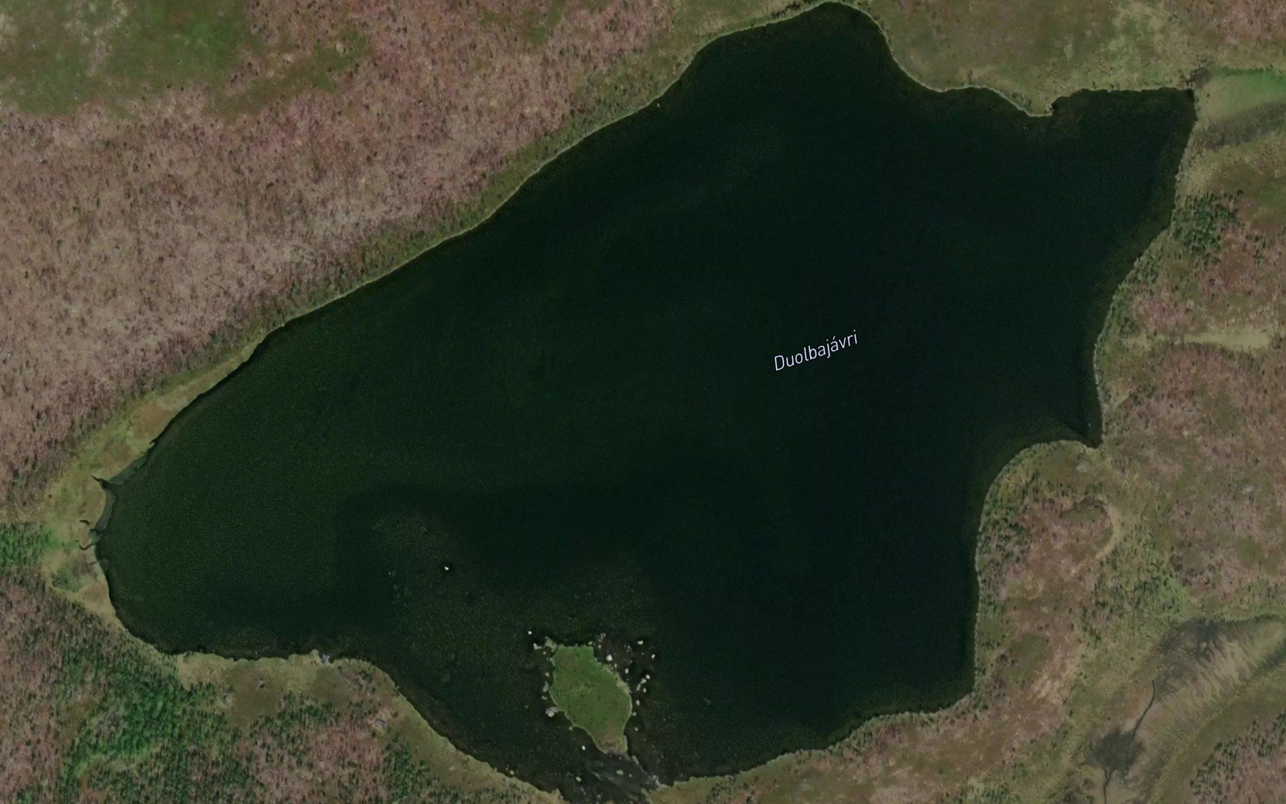 Duolbajavri