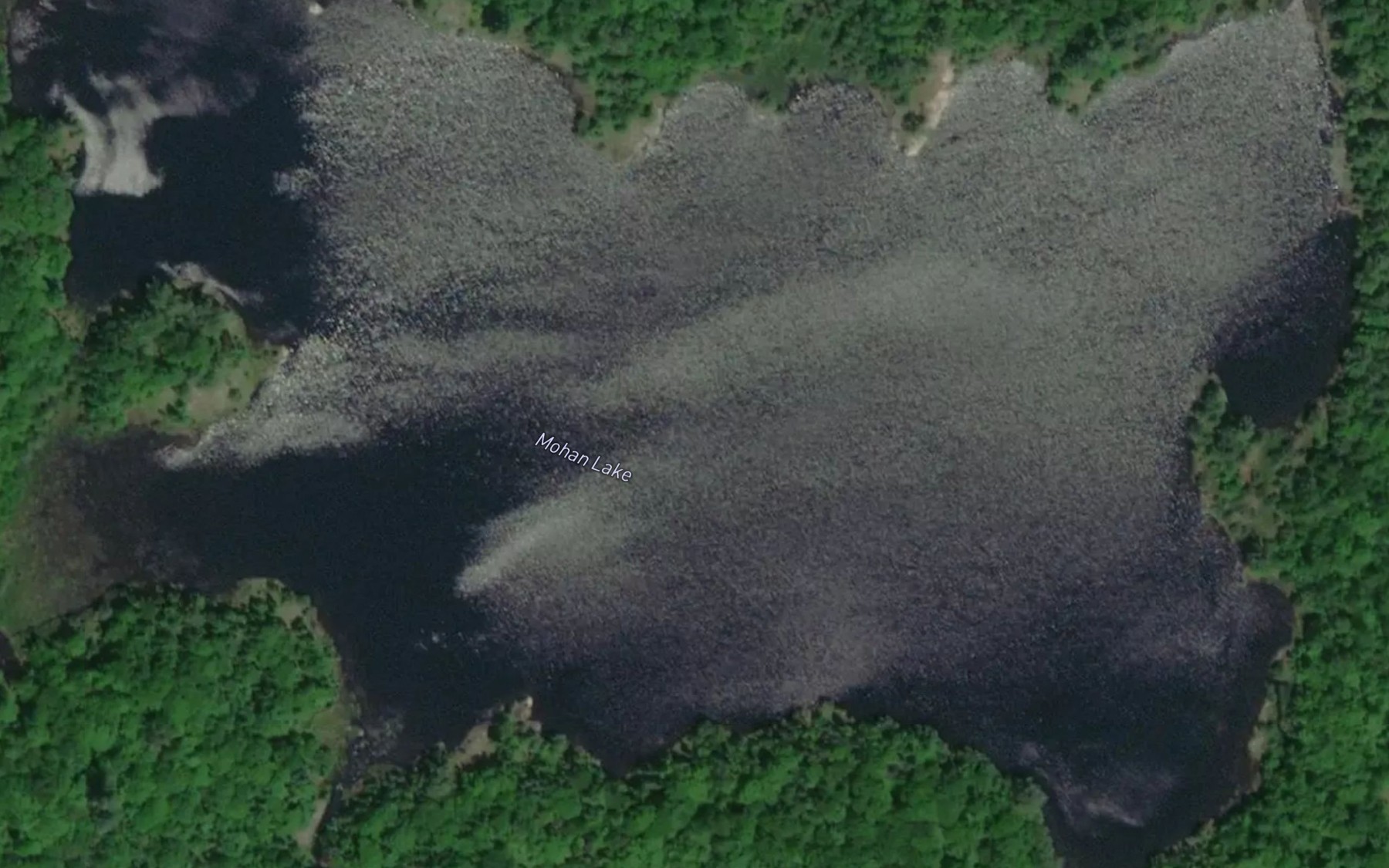 Satellite map of the Mohan Lake