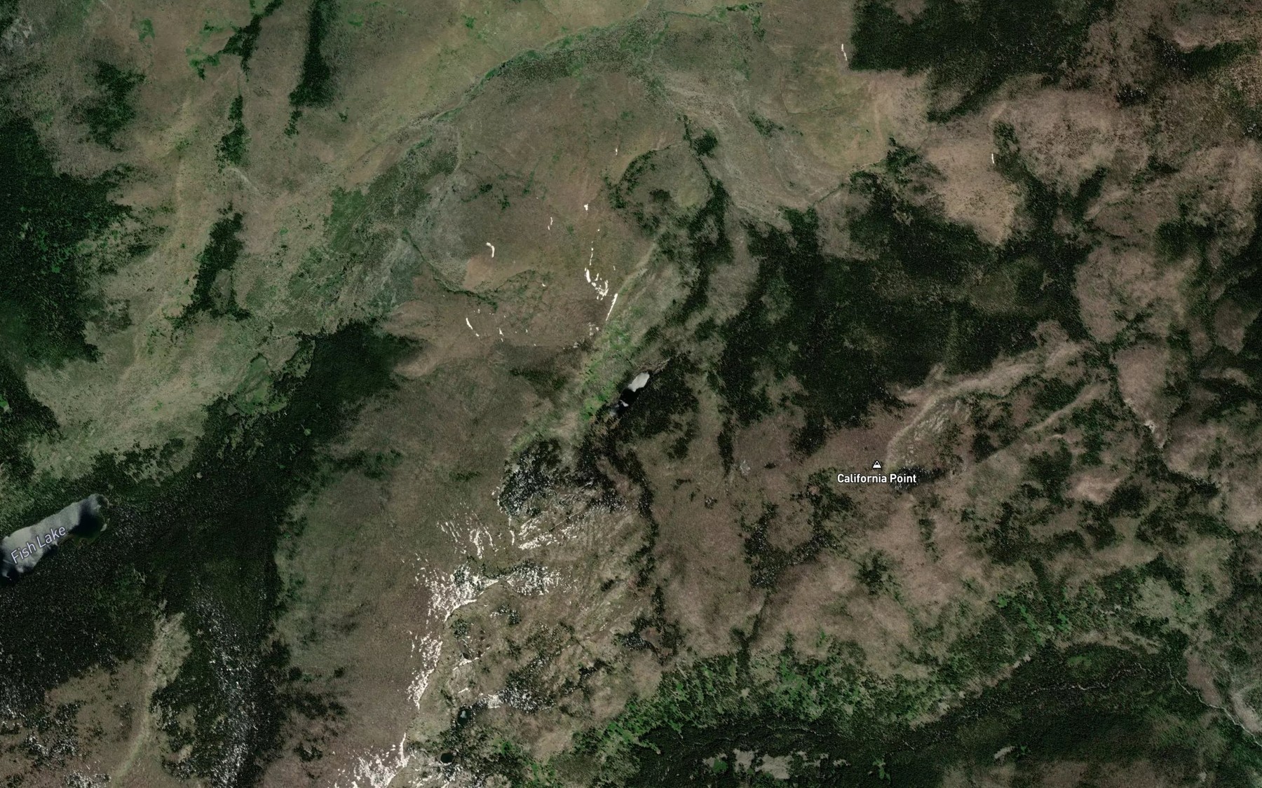 Satellite map of the California Lake