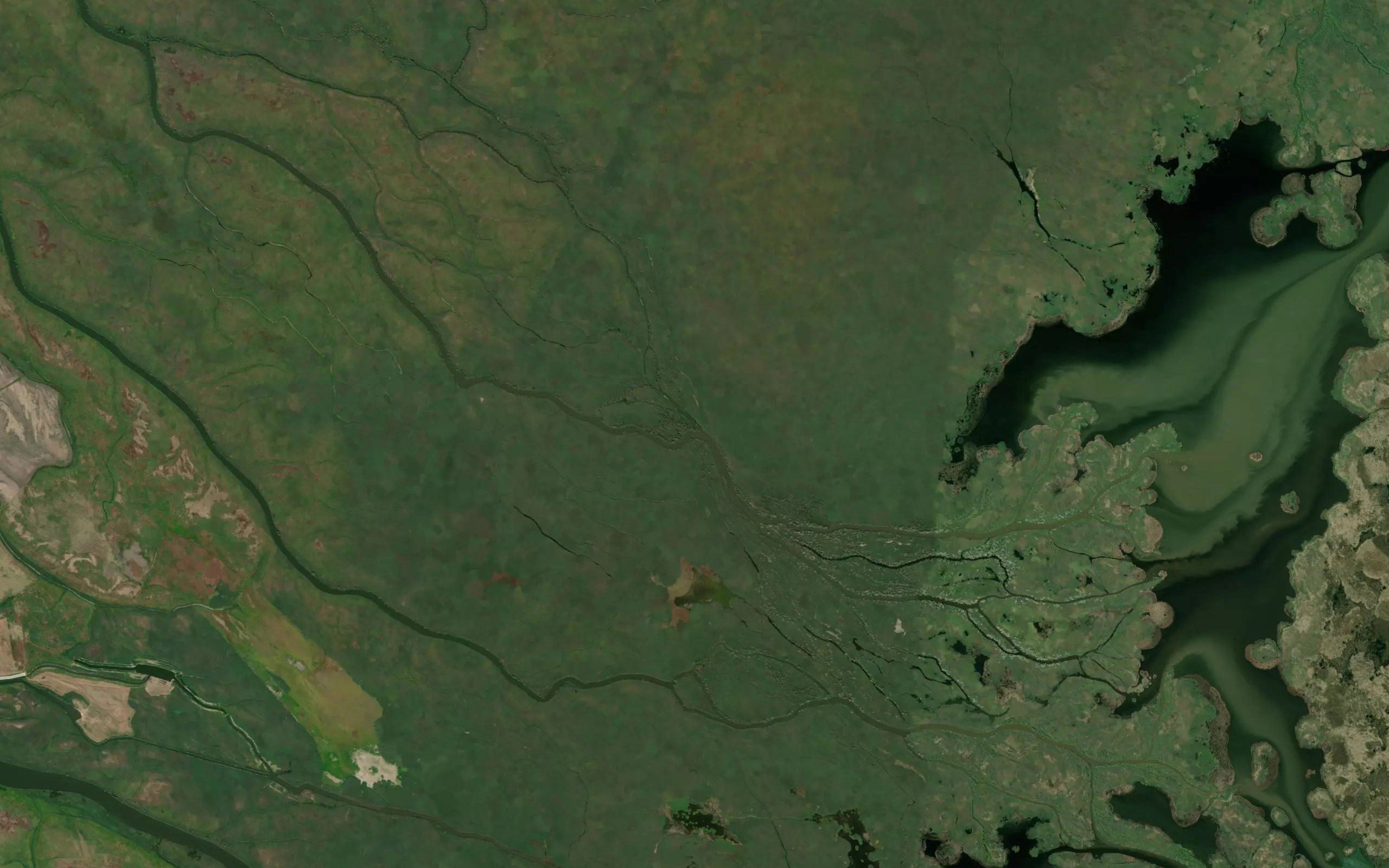 Kamennaya