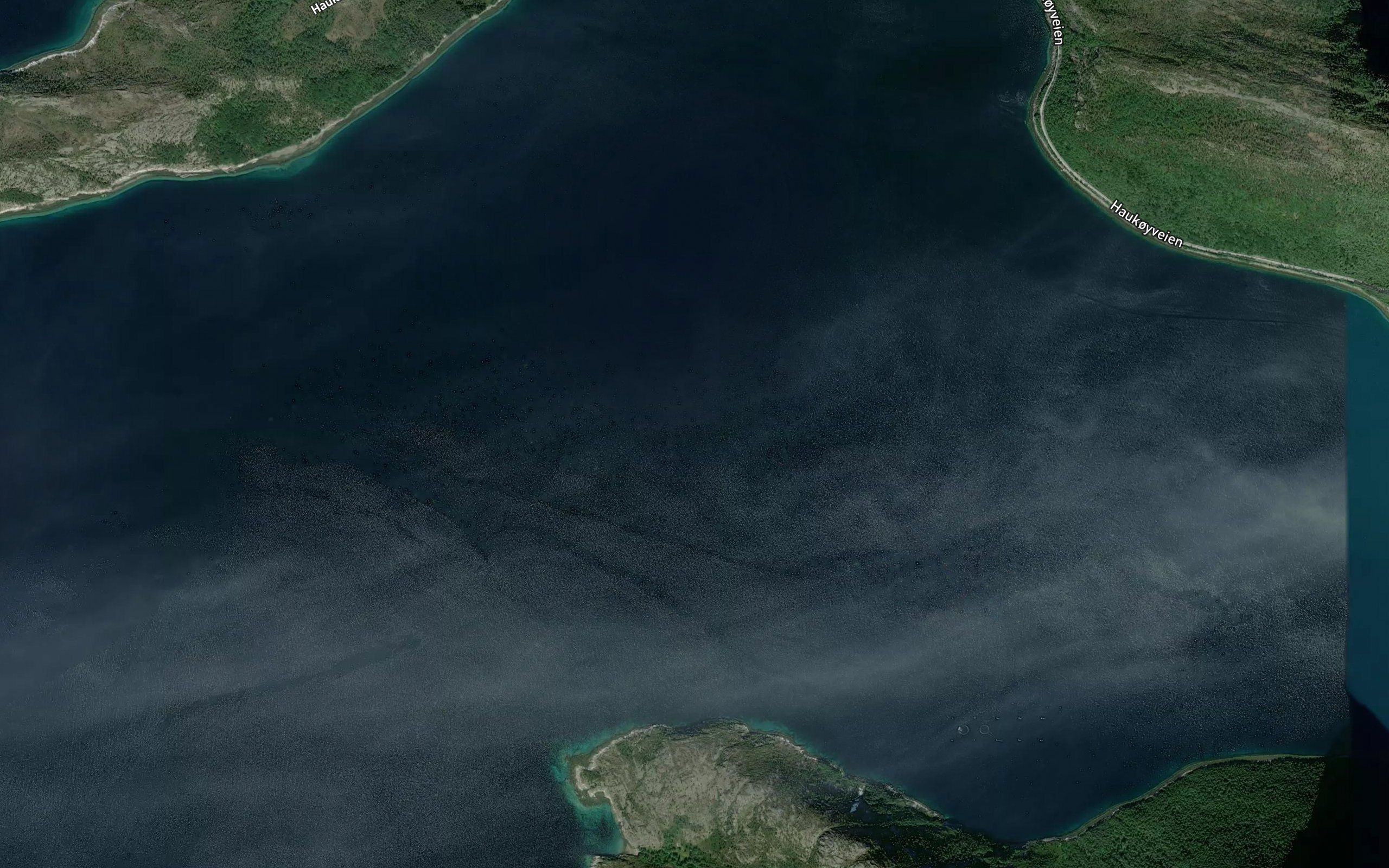 Tommerasfjorden