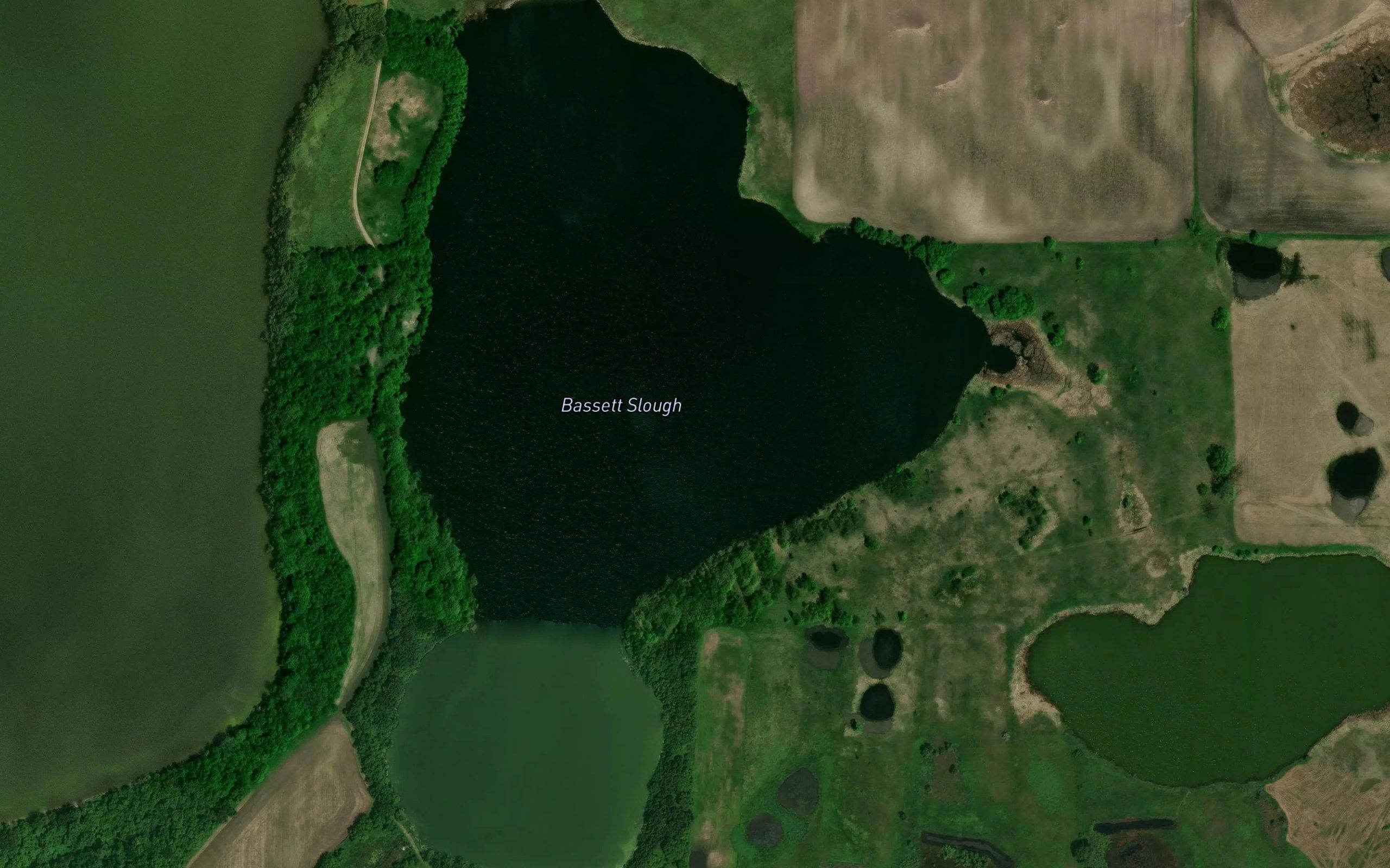 Bassett Slough