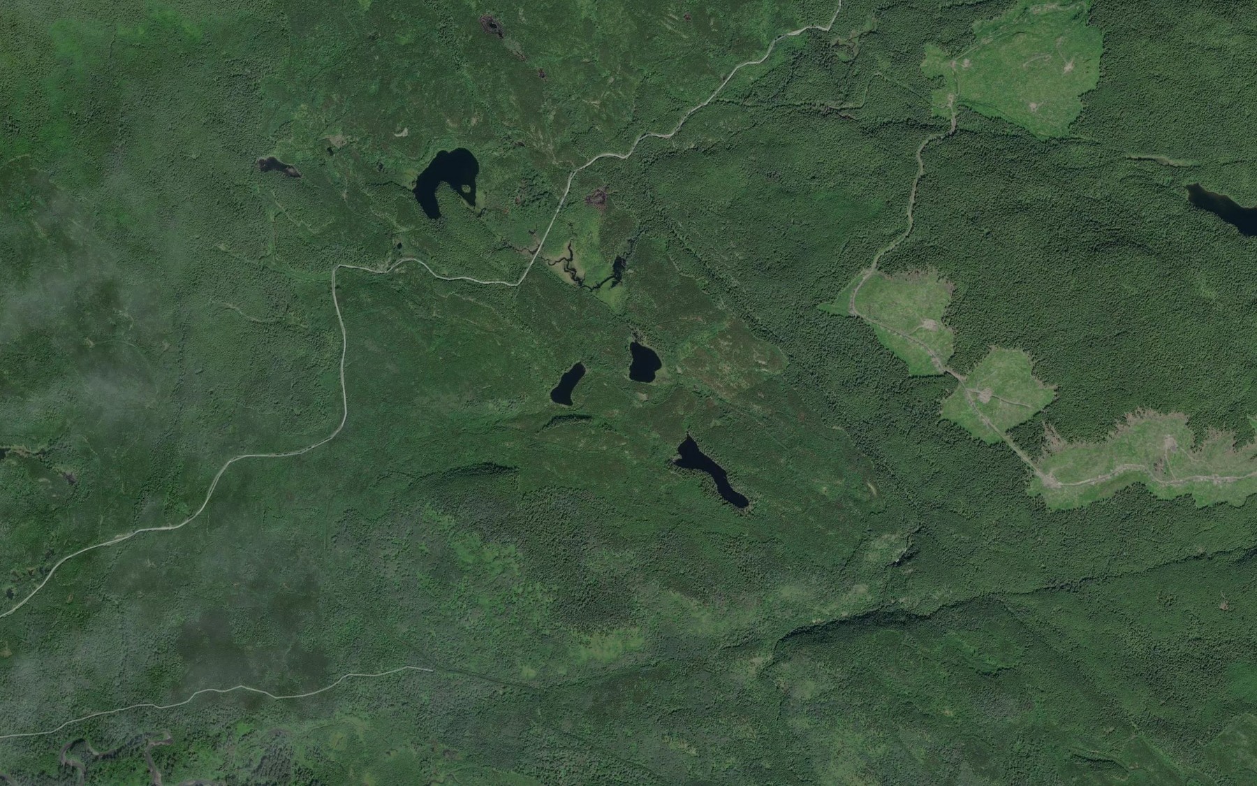 Satellite map of the Weegett Creek
