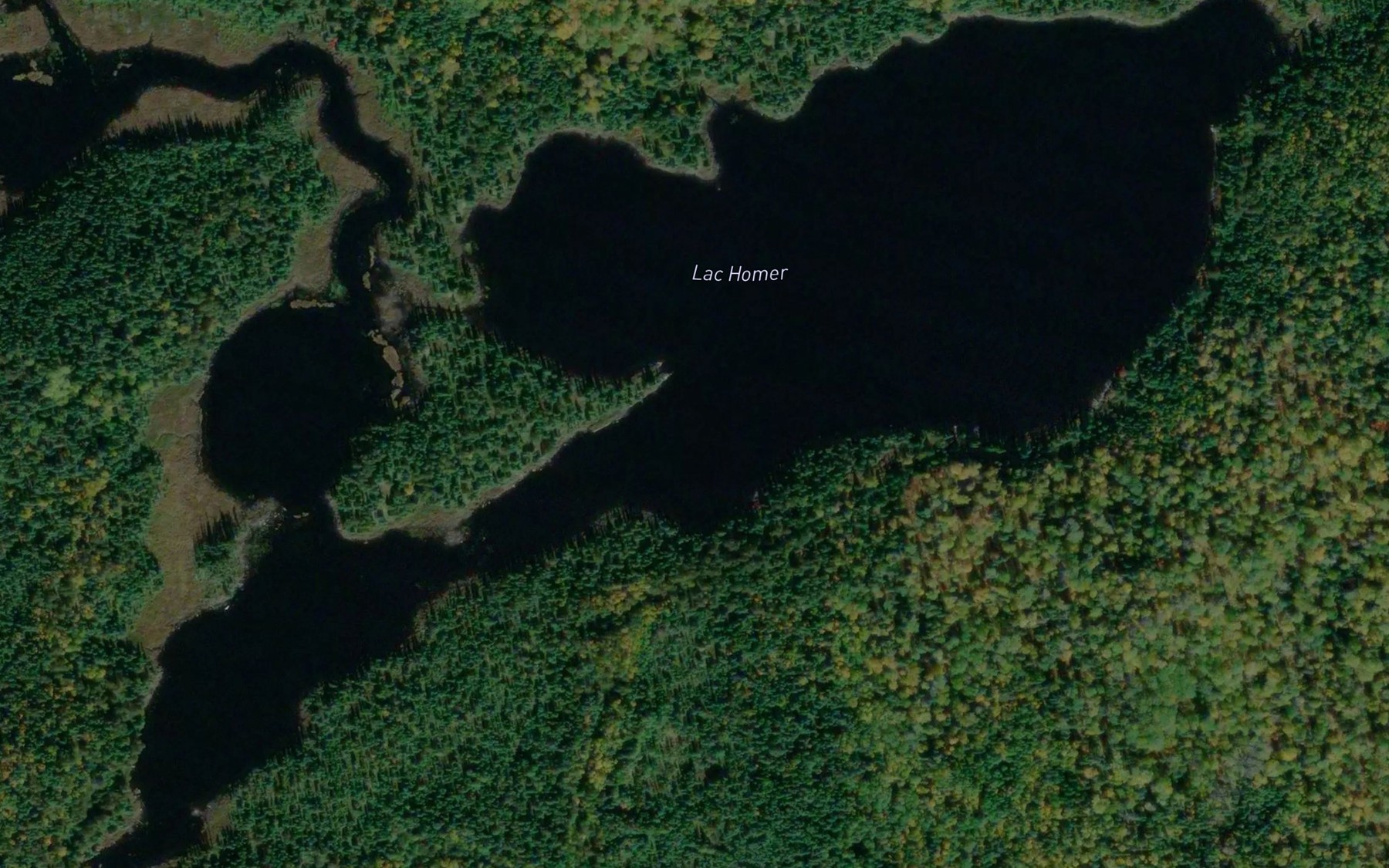 Satellite map of the Lac Homer