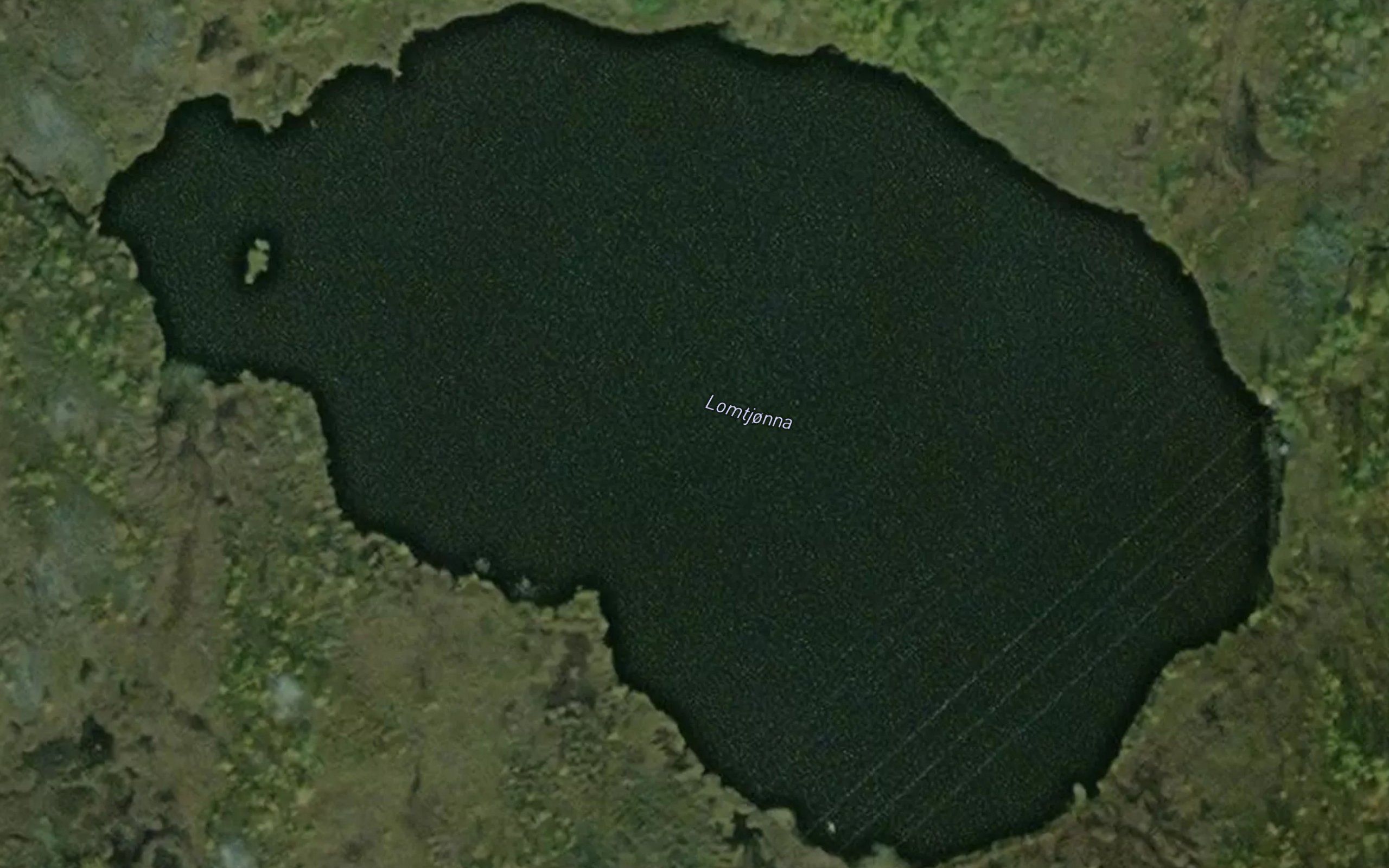 Lomtjorna