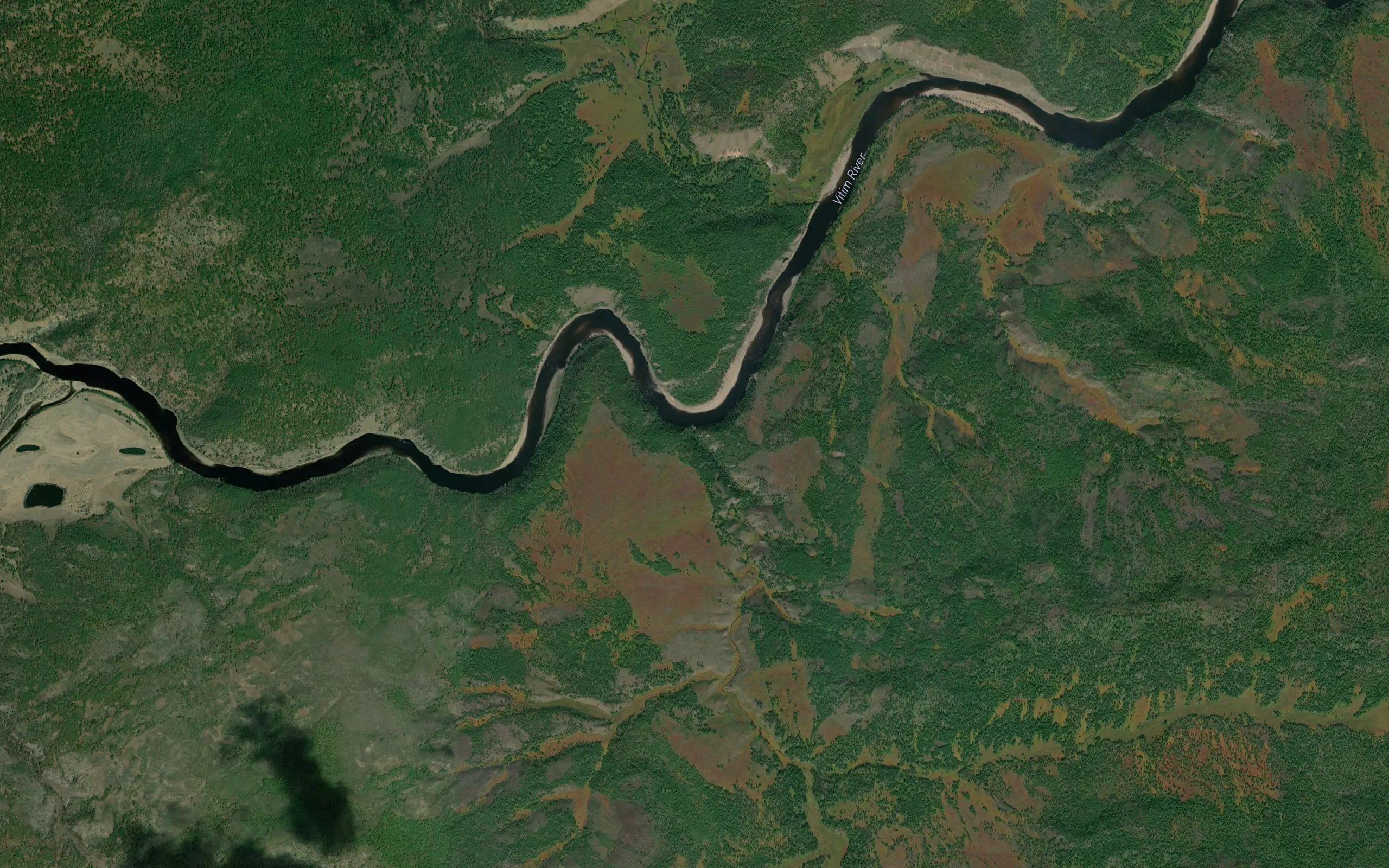 Antiguta