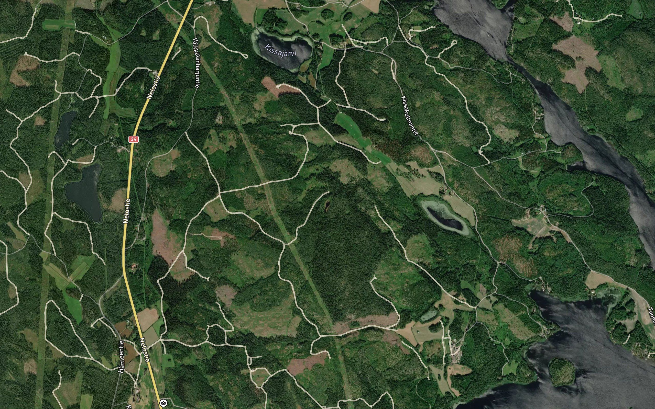 Haapalammi