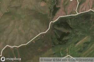 Zhirenaygyr