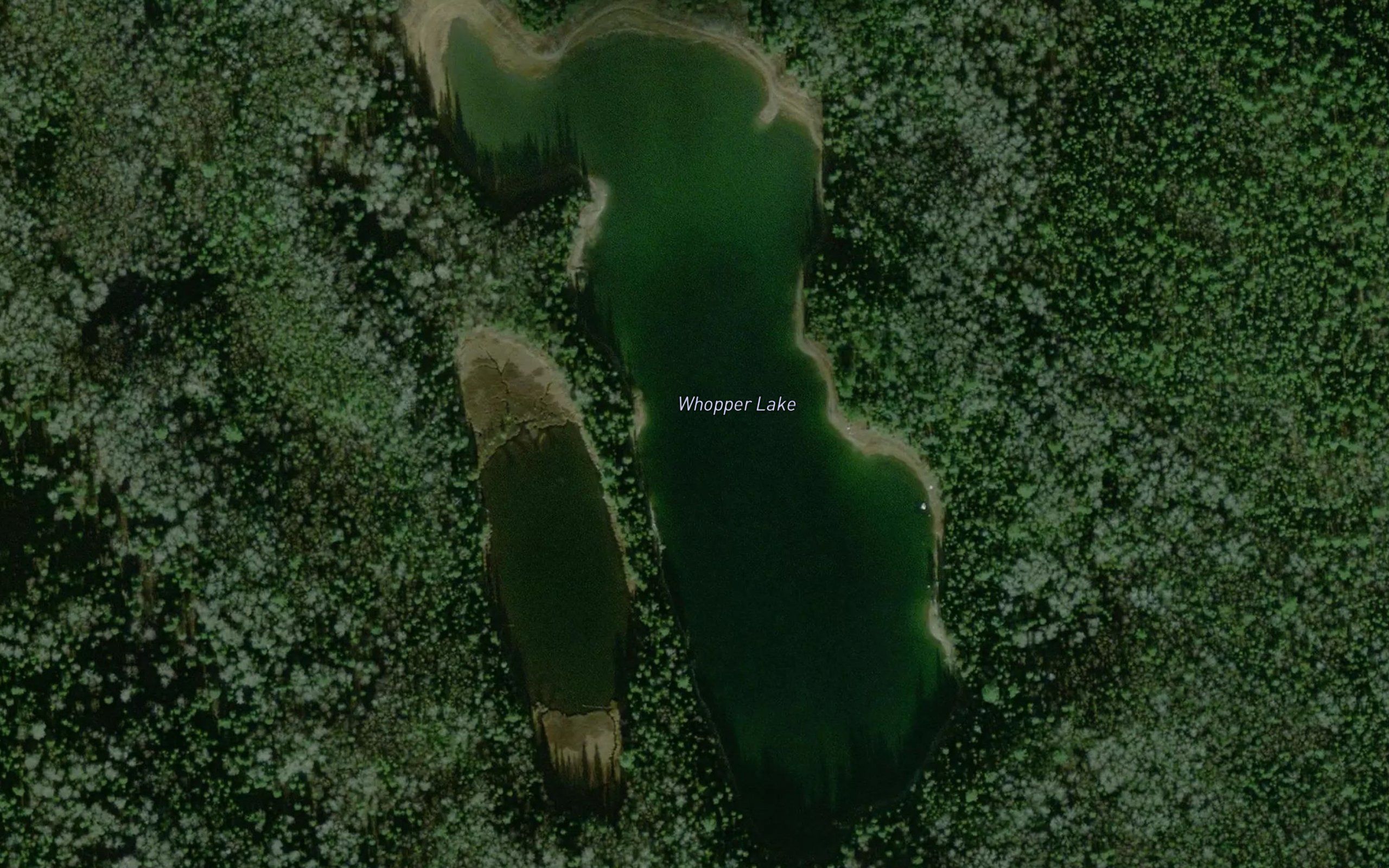 Whopper Lake