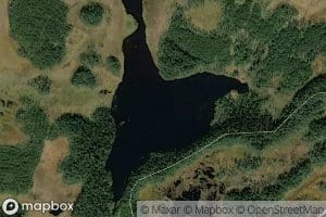 Sarkkalampi