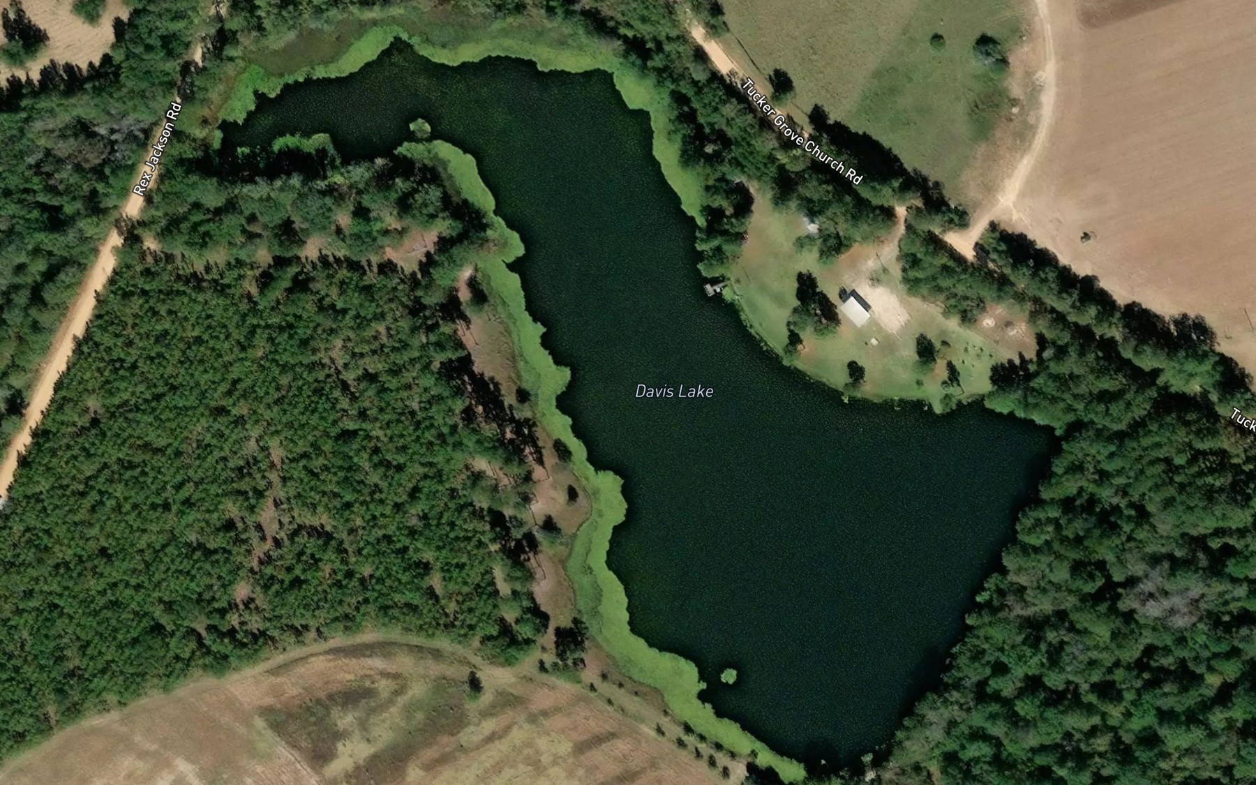 Satellite map of the Davis Lake
