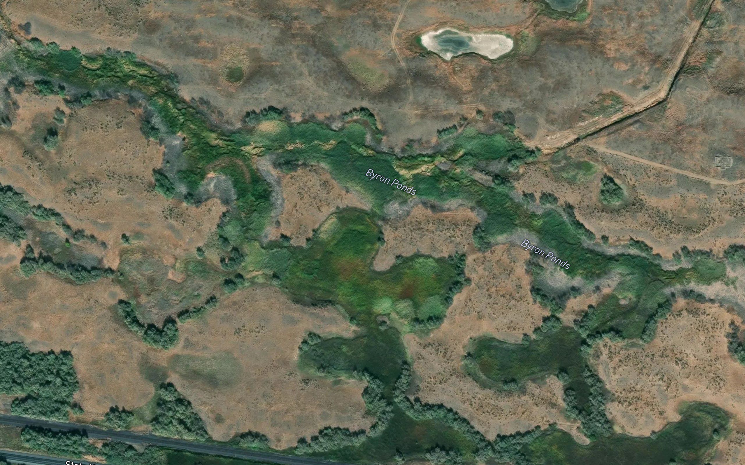 Byron Ponds