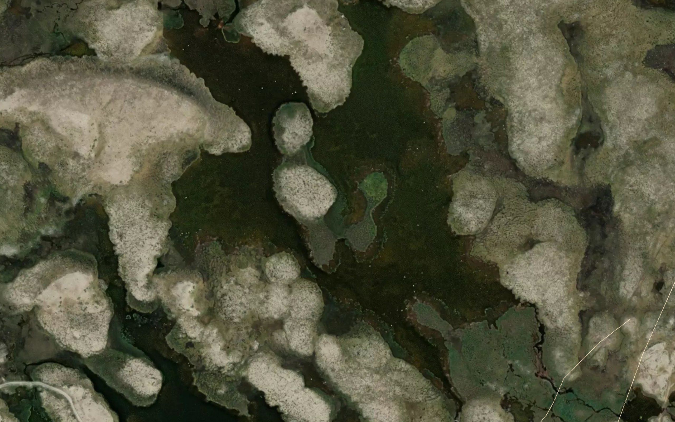 Sandtjornane